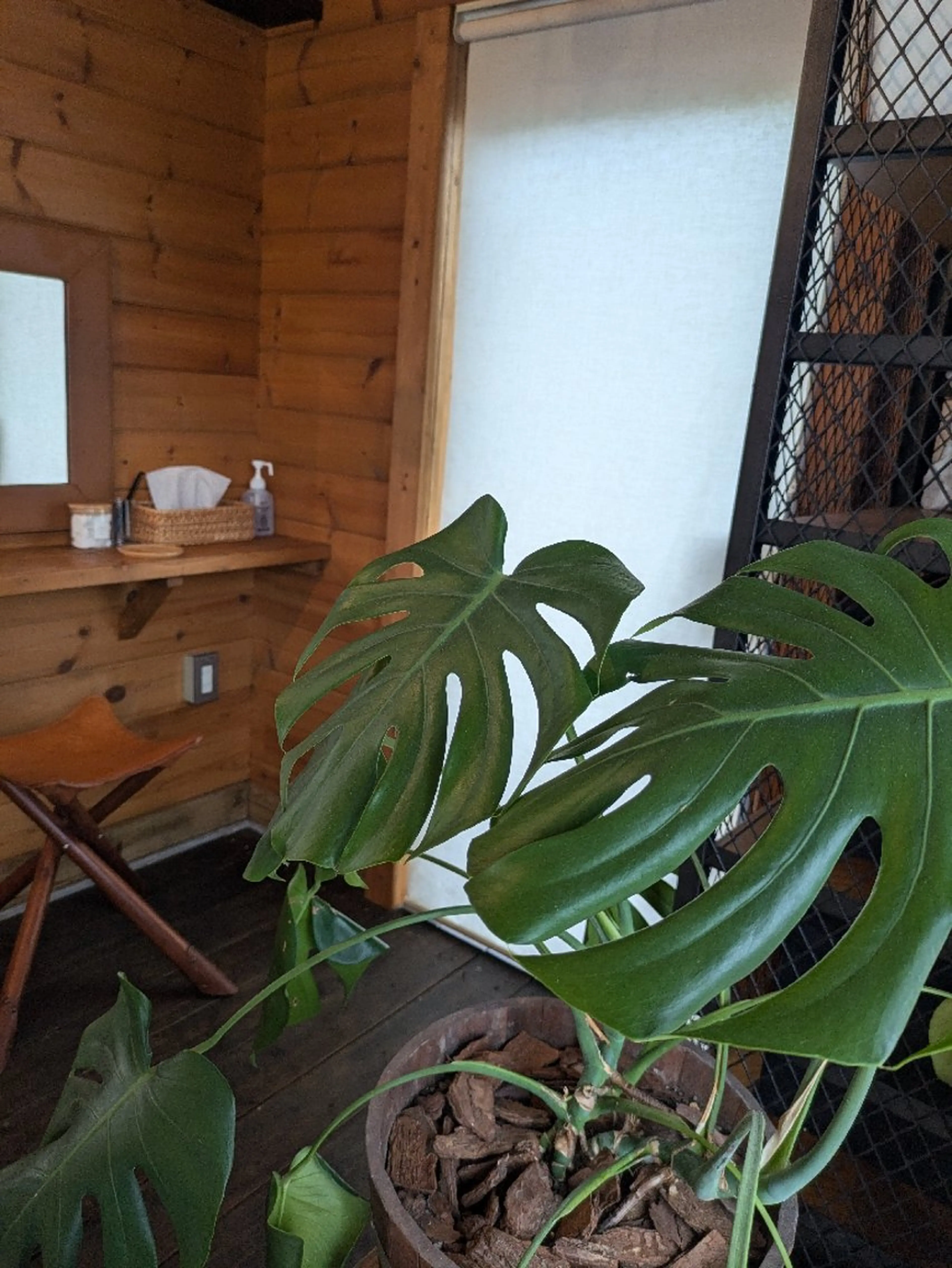 SUNNY 南足柄  癒しのオールハンドのエステ・リラクイメージ