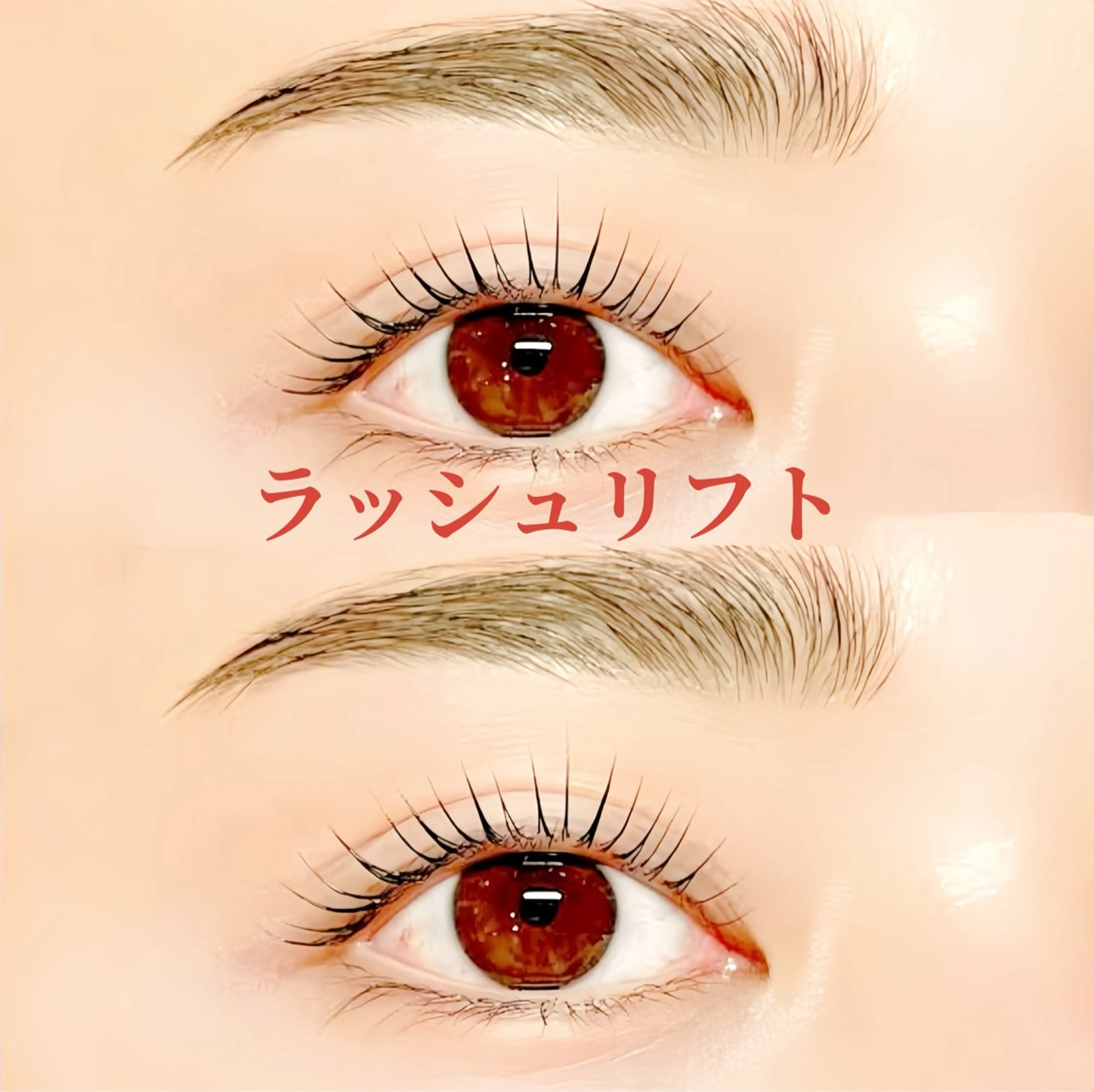 【まつげ＆眉毛SET🍒】カールデザイン似合わせまつげパーマ上×美眉デザイン（眉毛Wax間引き毛量調整付）の写真