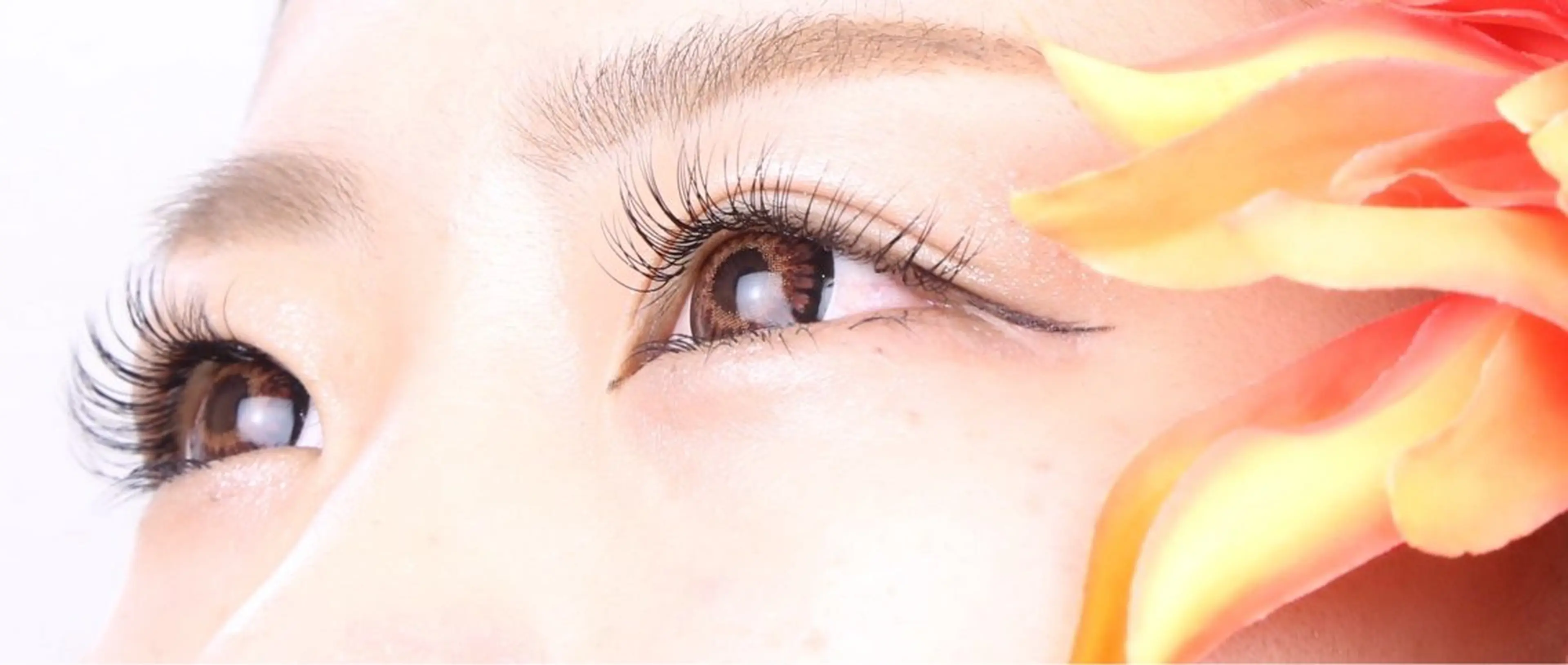 マツエク・マツパ マツエク 大島 咲のマツエク・マツパデザイン