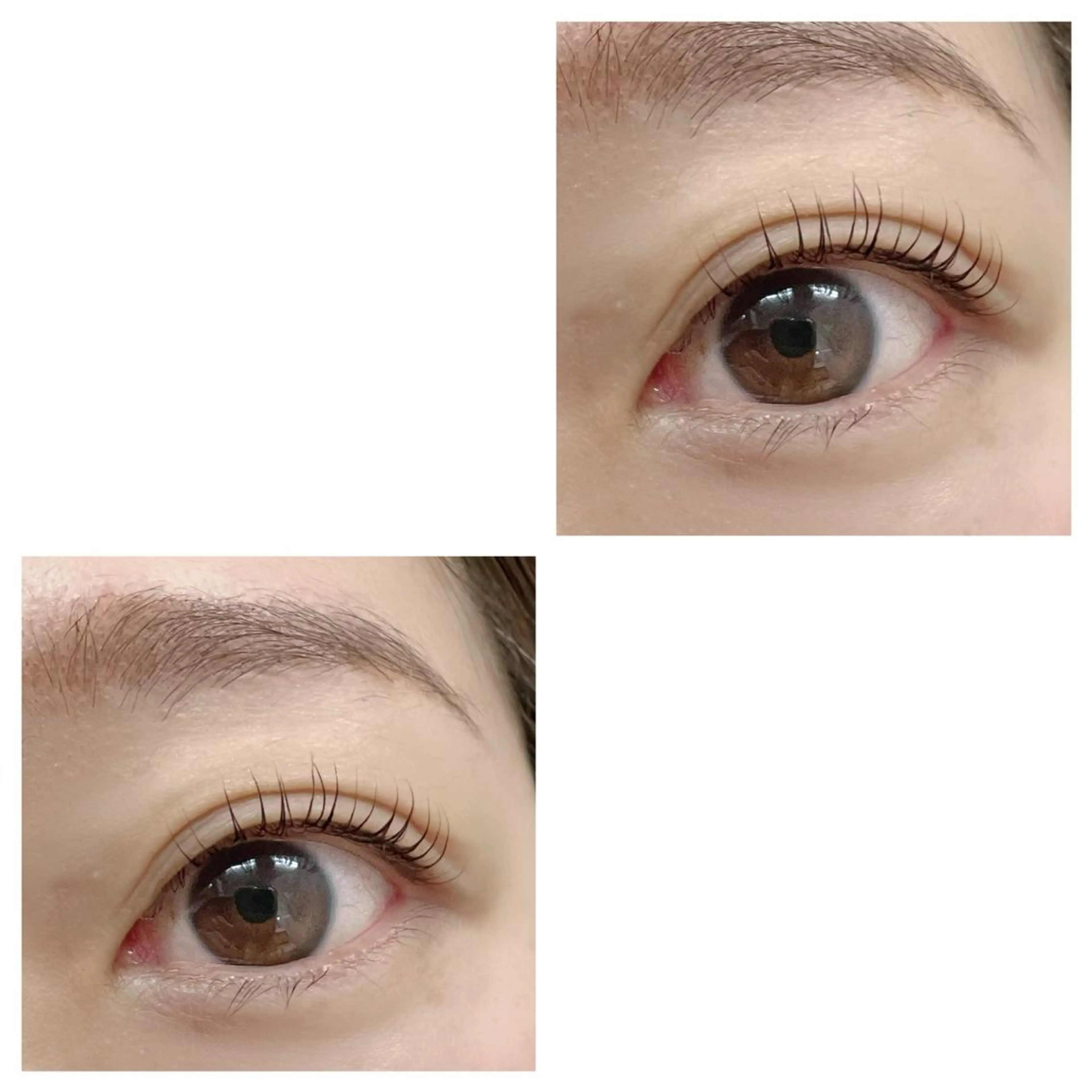 マツエク・マツパ まつ毛エクステ専門店WIKIRA所属・WIKIRA 押上 さくらばのマツエク・マツパデザイン