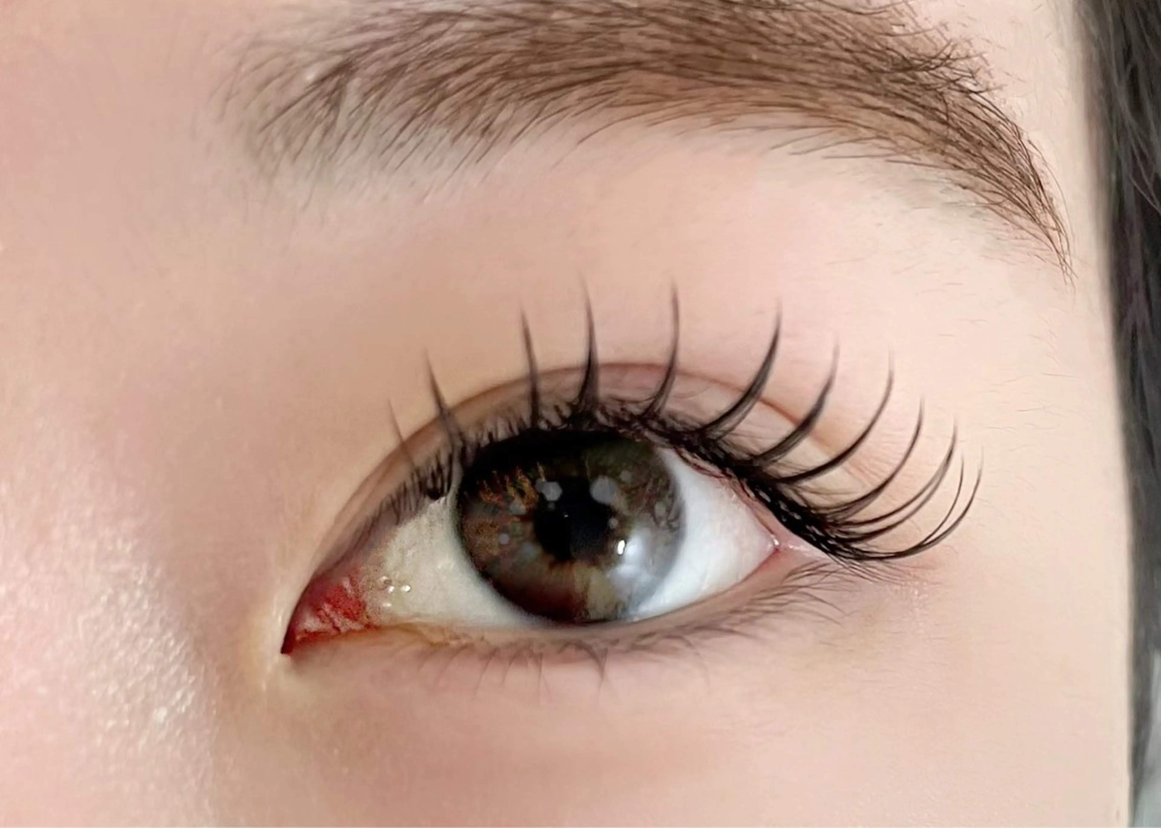 フラットラッシュ120本の写真