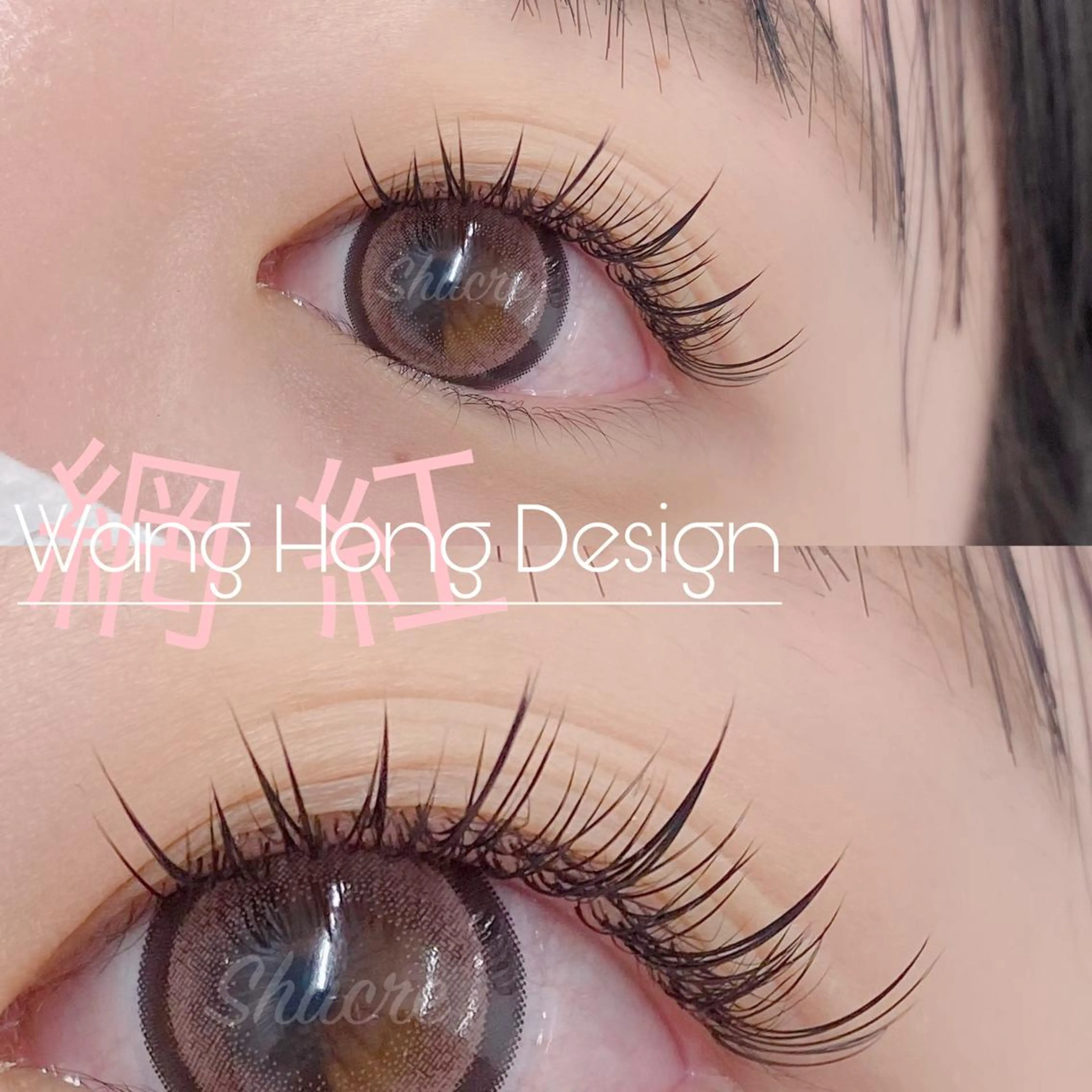 マツエク・マツパ Shucre栄店🤍 Rikaのマツエク・マツパデザイン