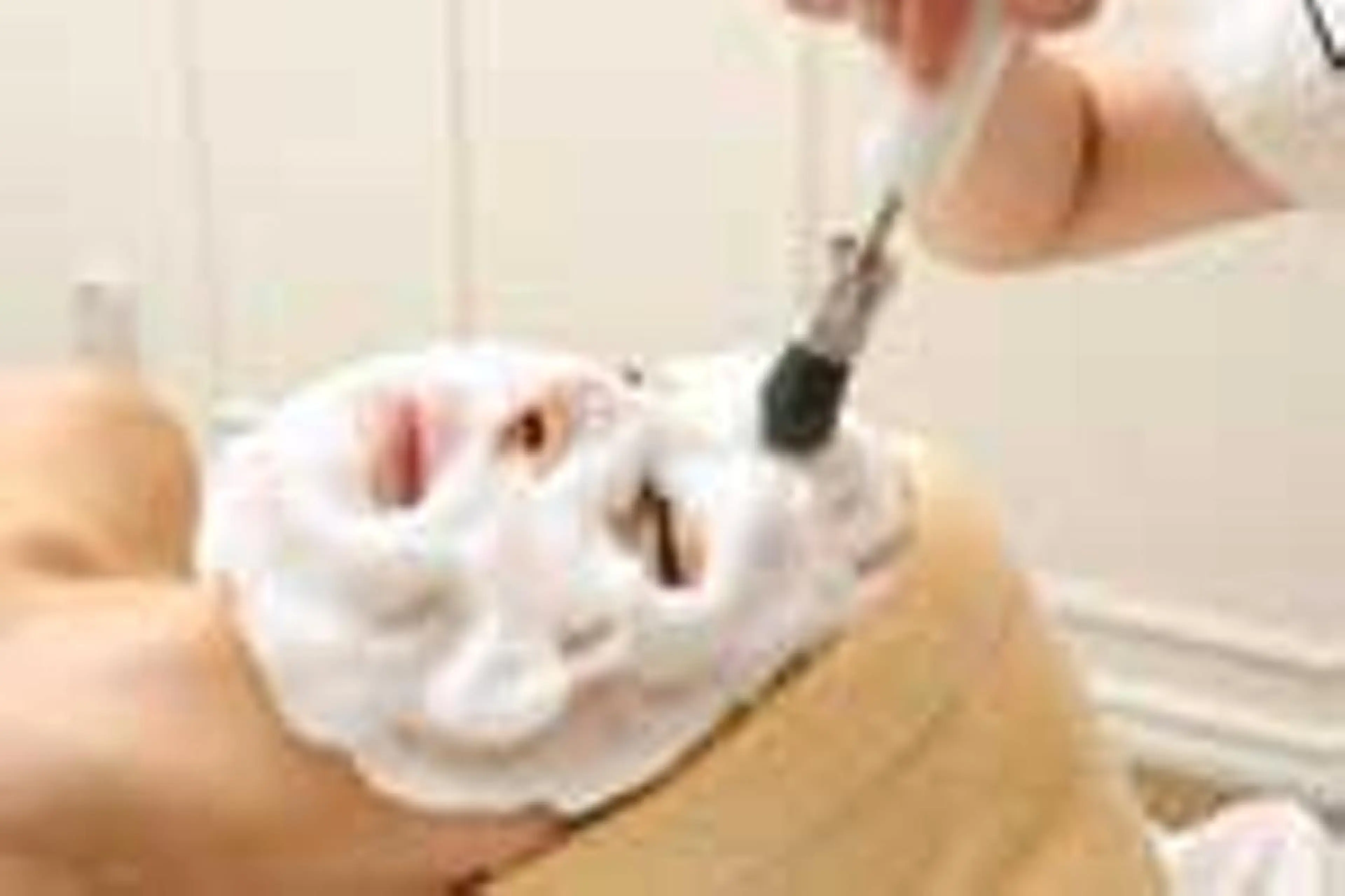 【ニキビ・ニキビ跡にお悩みの方へ】高濃度水素ケア☆☆効きます☆✨肌診断機付の写真