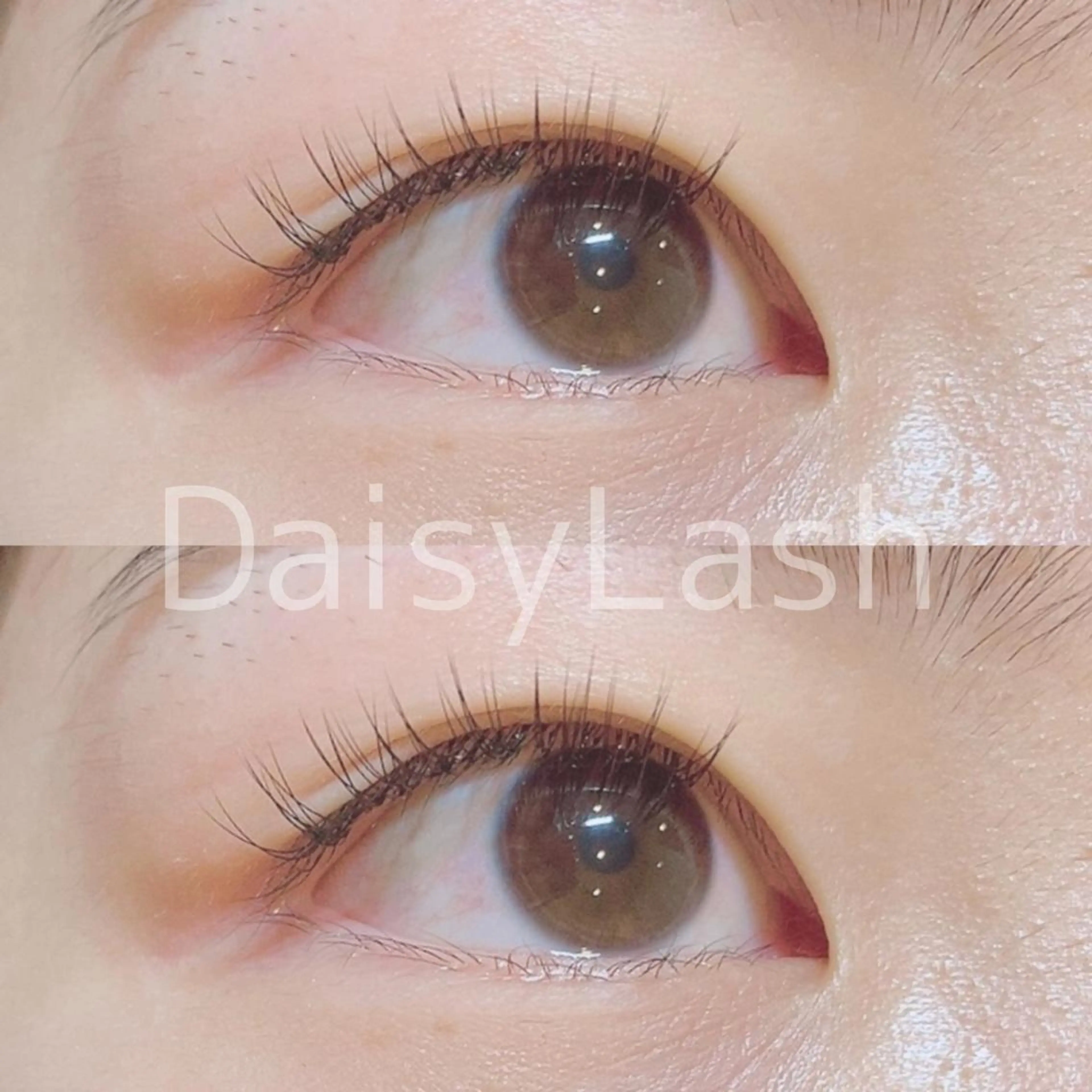 マツエク・マツパ DaisyLash 京橋店のマツエク・マツパデザイン