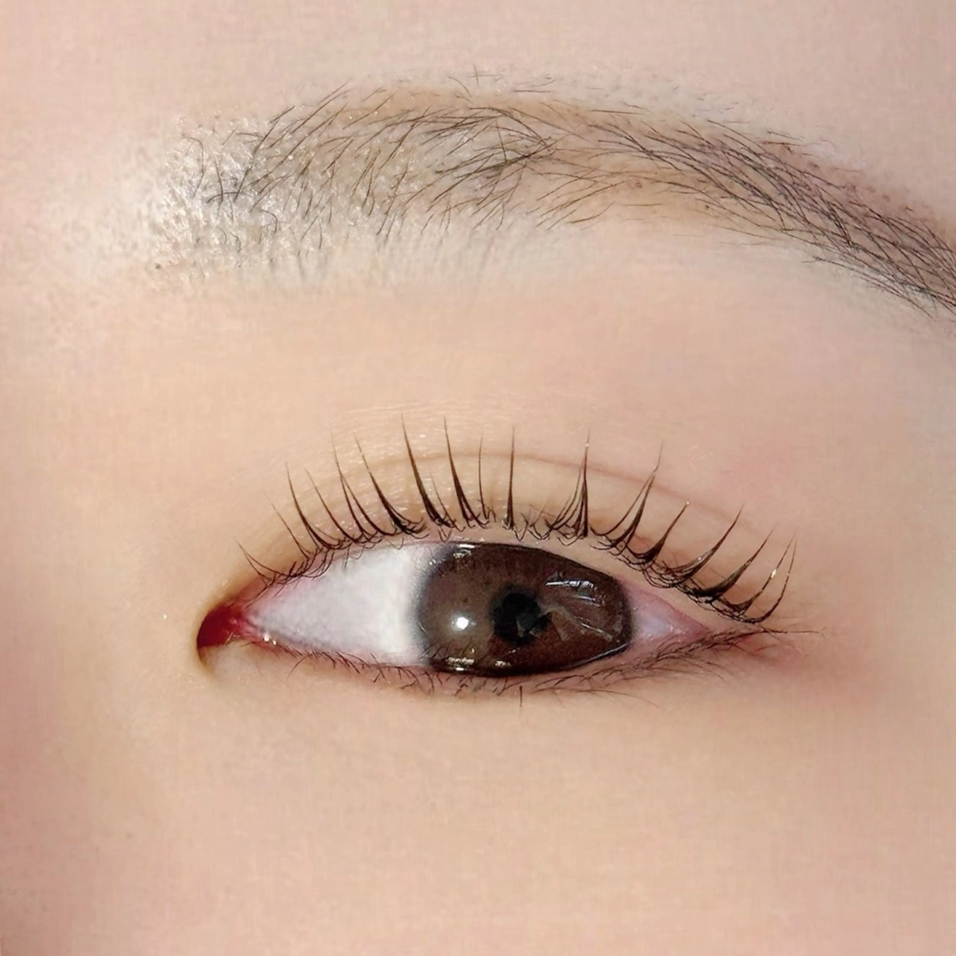 ✨リピーター様限定✨パリジェンヌラッシュリフト（アイシャンプー付き）の写真