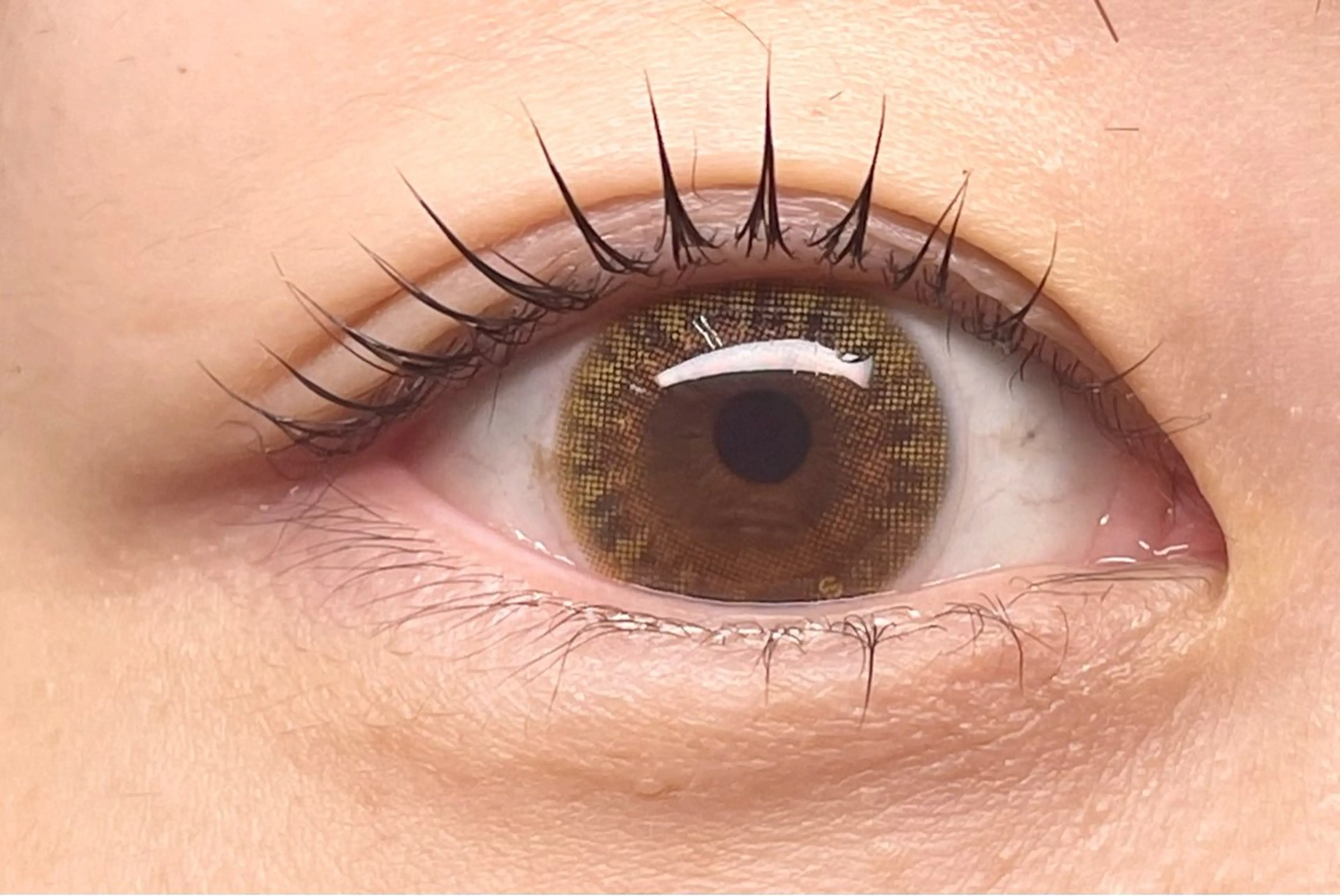 マツエク・マツパ glitter 京橋駅徒歩 1分のその他イメージ