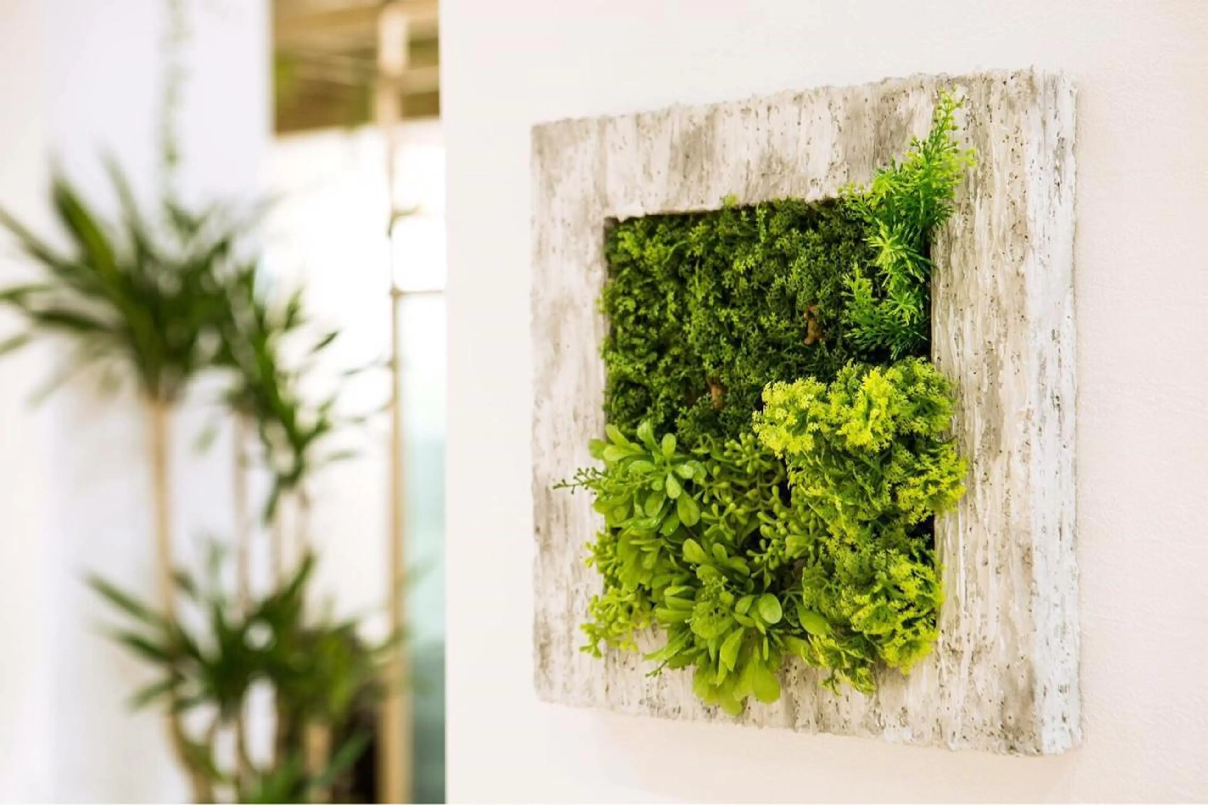 似合わせカラー✨人気 荻窪🌈川端風子のヘアスタイル