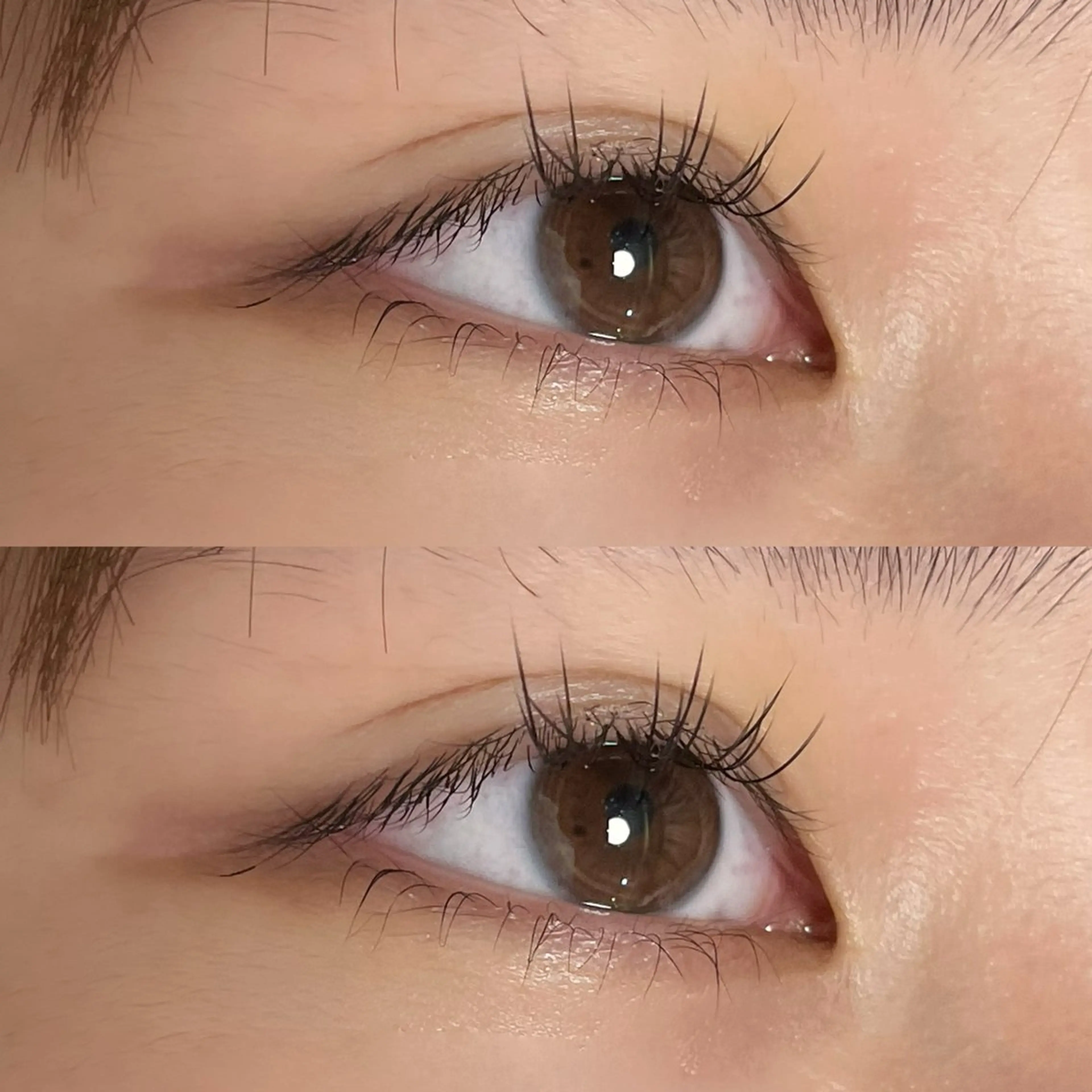 マツエク・マツパ Ayumi.dre 🌸Y《2階》のマツエク・マツパデザイン