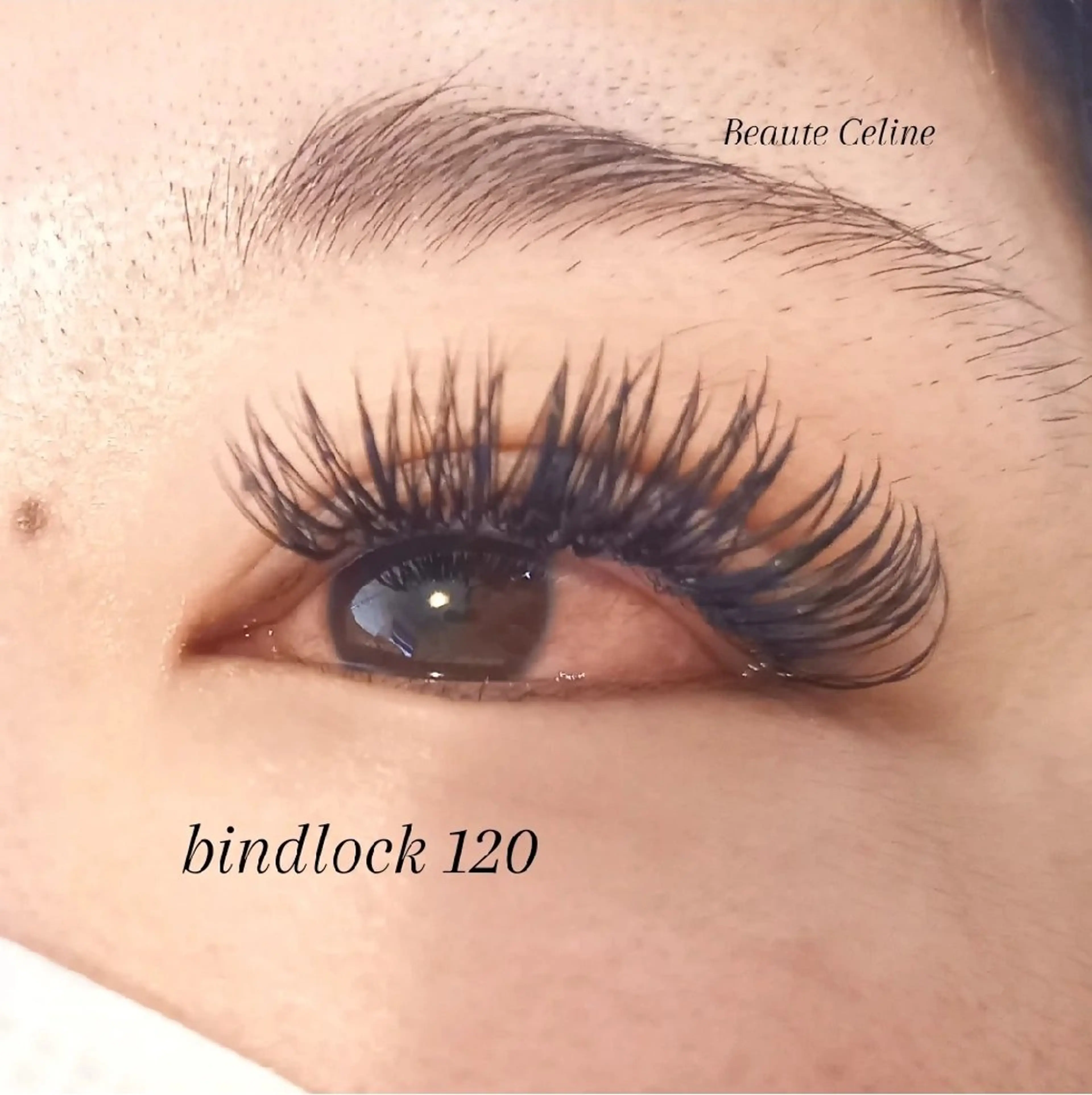 マツエク・マツパ マツエク beaute.celine所属・8時～✨beaute Celine🌛🌹のマツエク・マツパデザイン