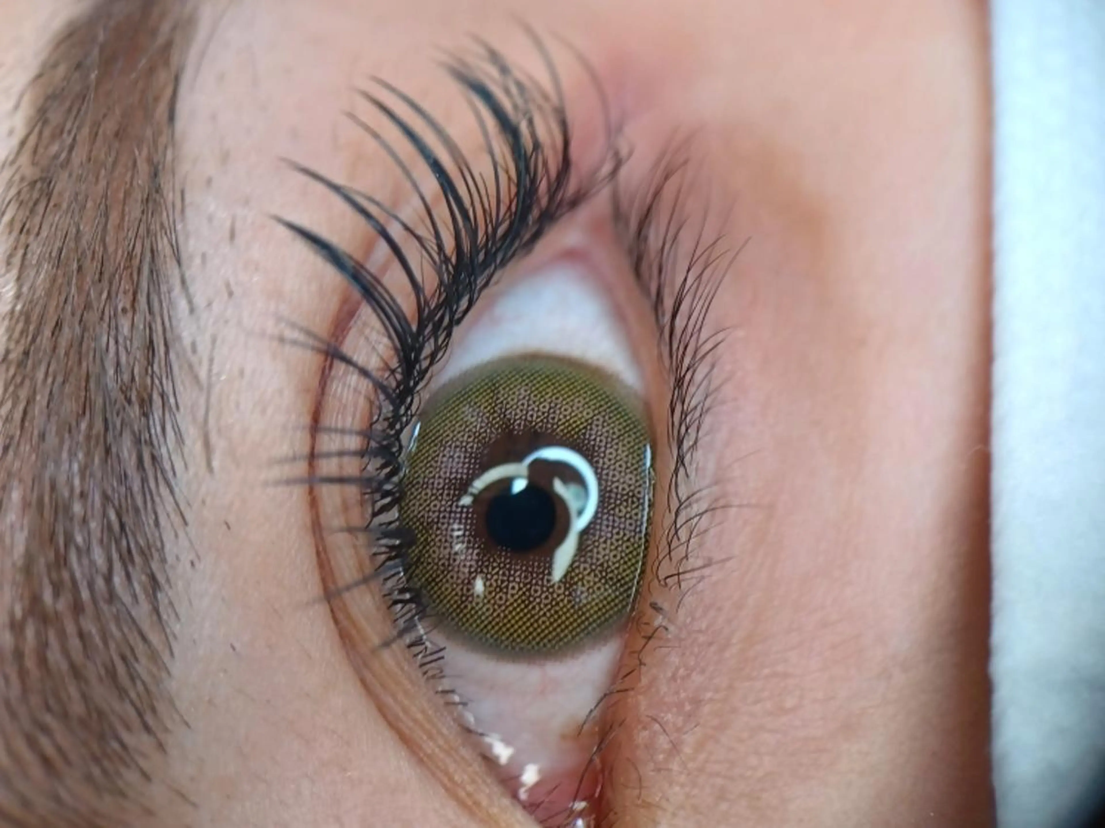 フラットラッシュ100本の写真