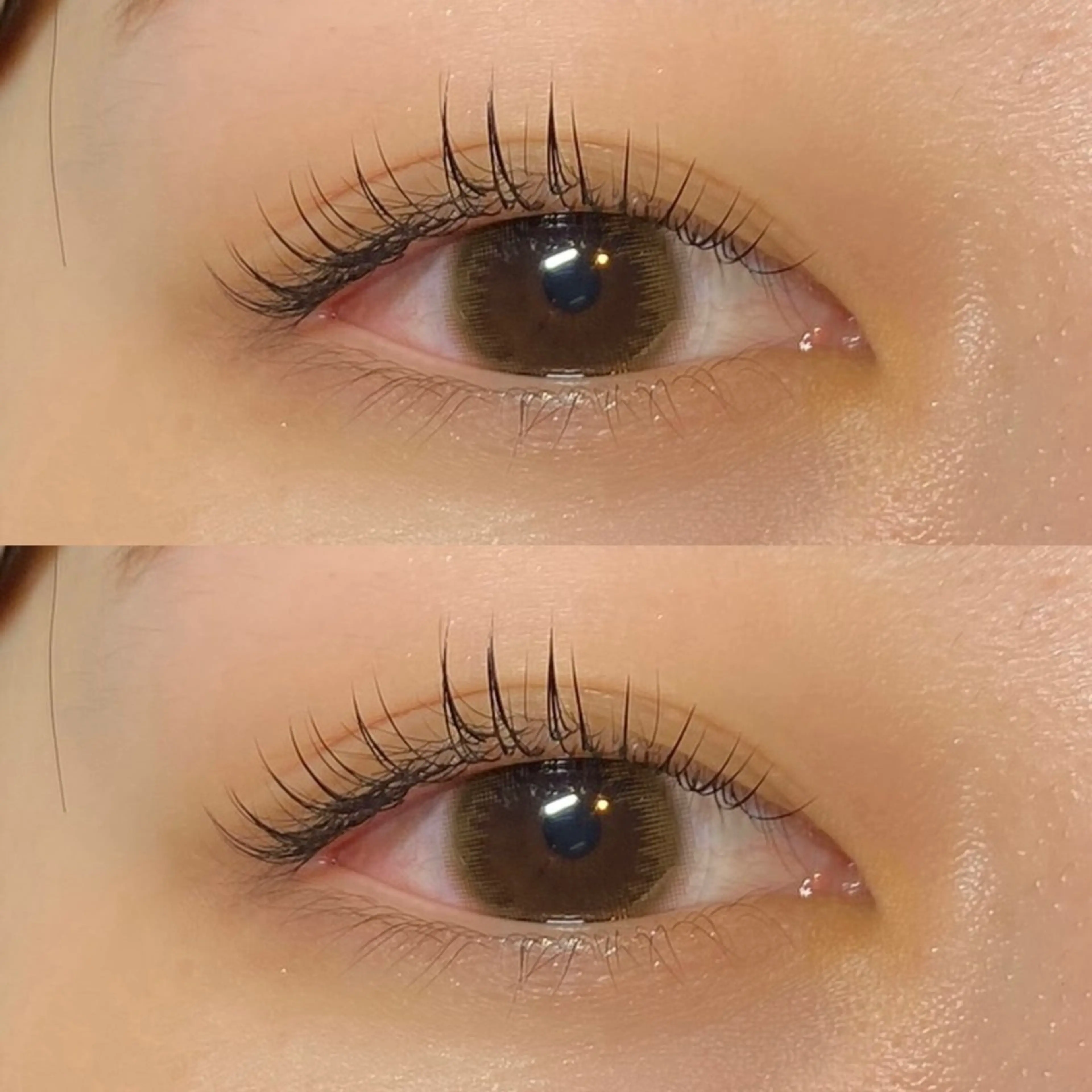 フラットラッシュ120本🌟の写真