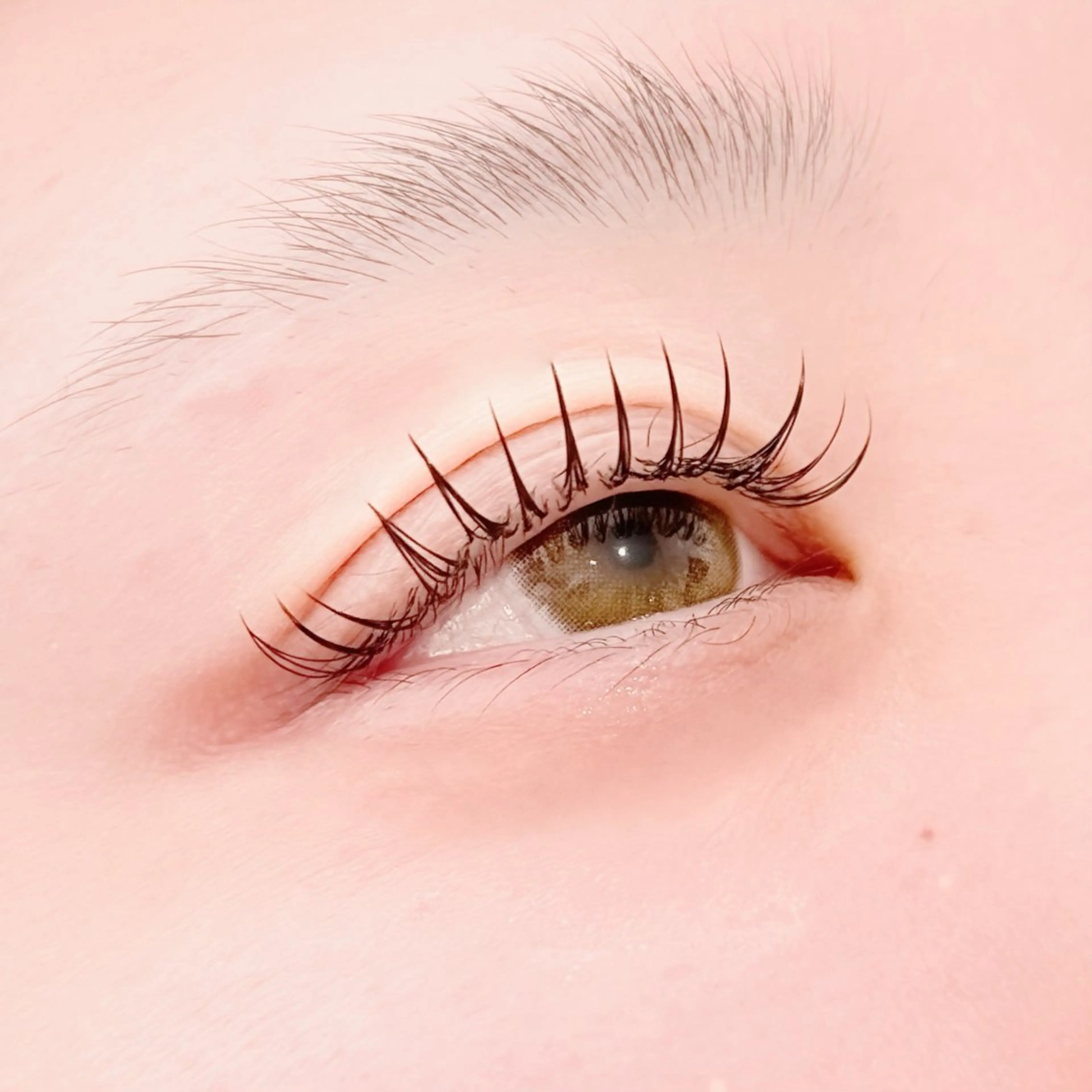 💘⌘フラットラッシュ 45分付け放題⌘(本数目安80本​〜​100本)付替オフ＋¥550の写真