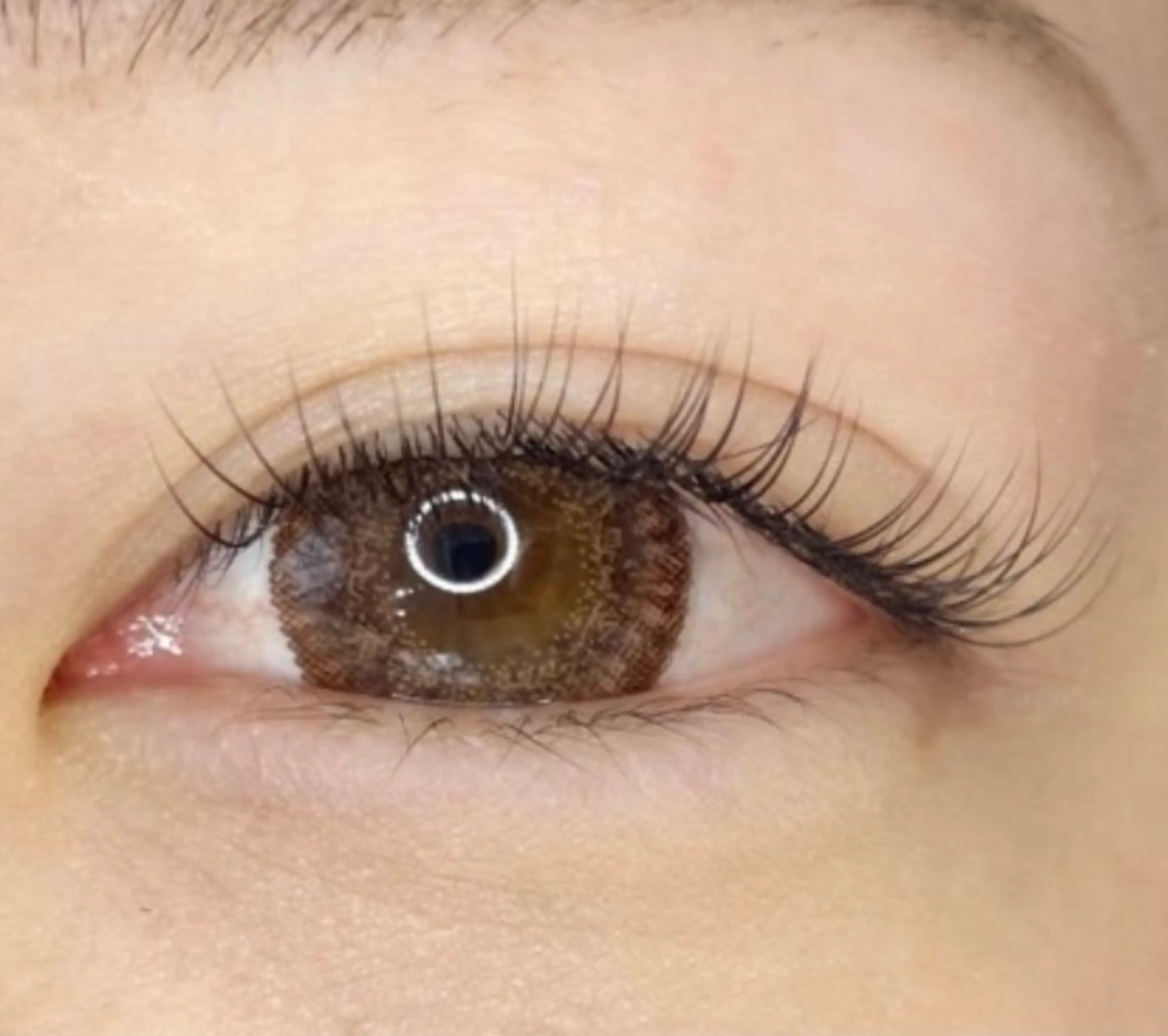 シングルラッシュ120本の写真