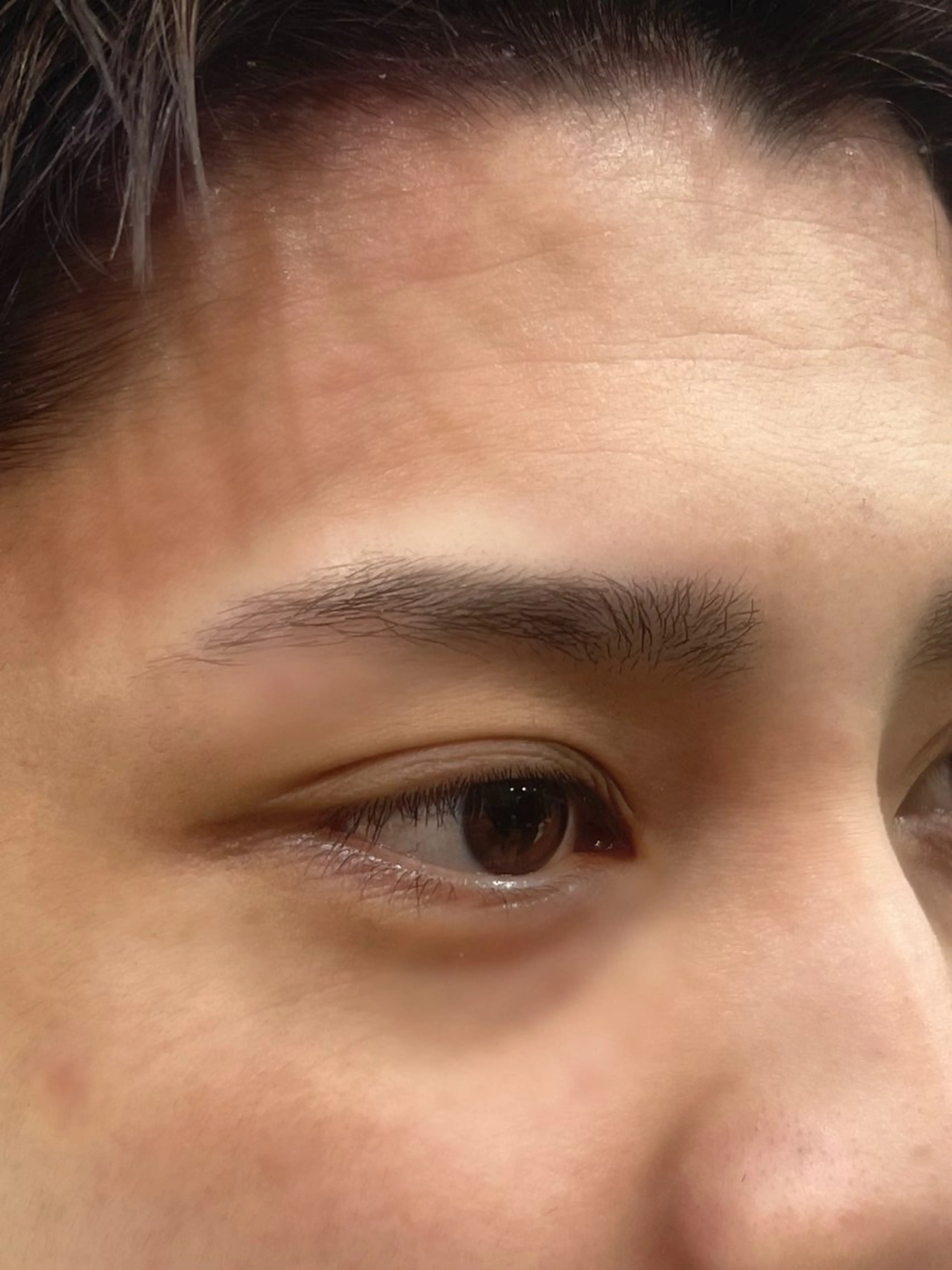 アイブロウ 眉カット メンズアイブロウ 眉カット 艶カラー/eye 🫧ྀི/栞のヘアスタイル