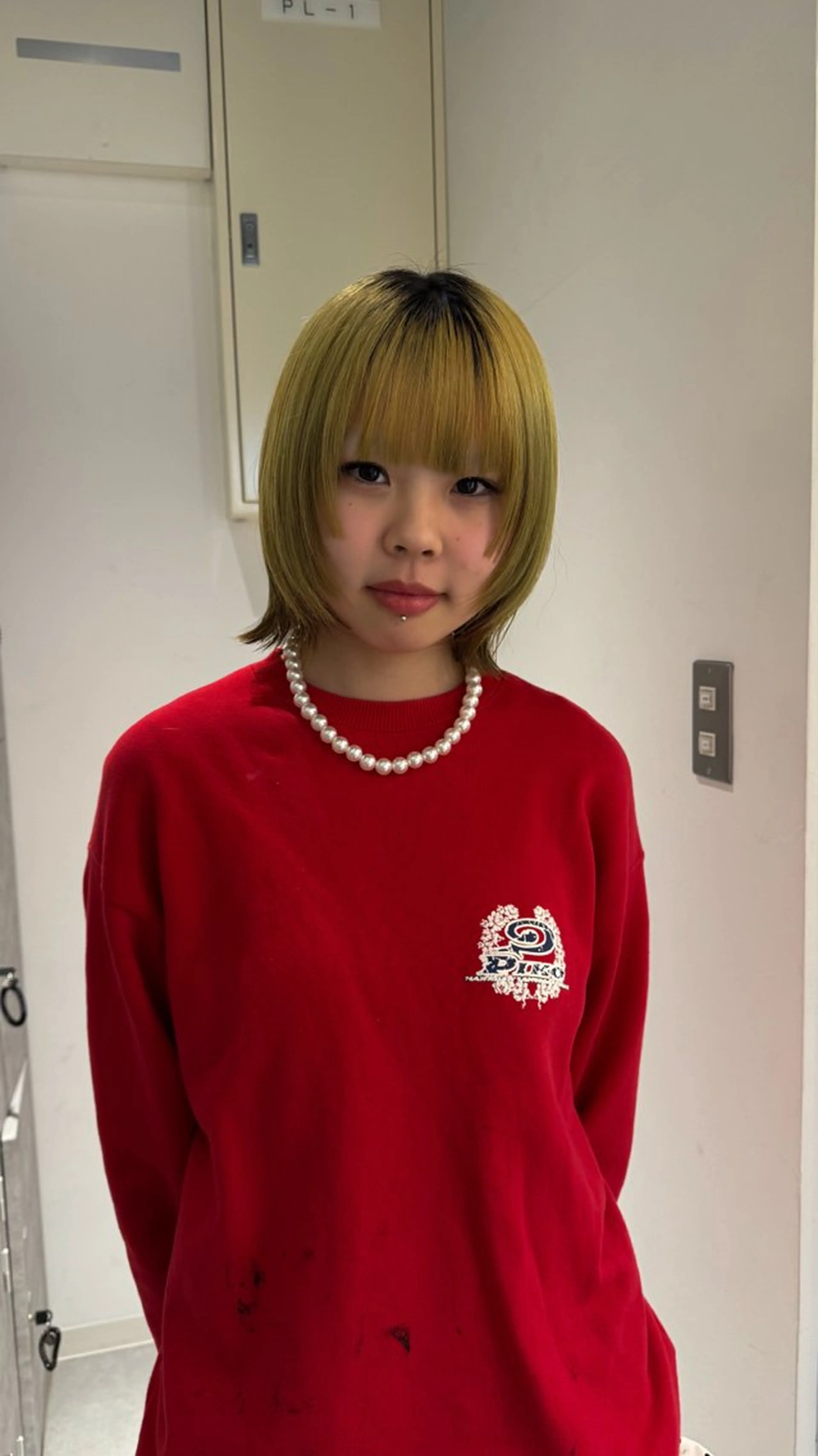 ショート 垢抜け/レイヤー/ ハイトーン/アスナのヘアスタイル