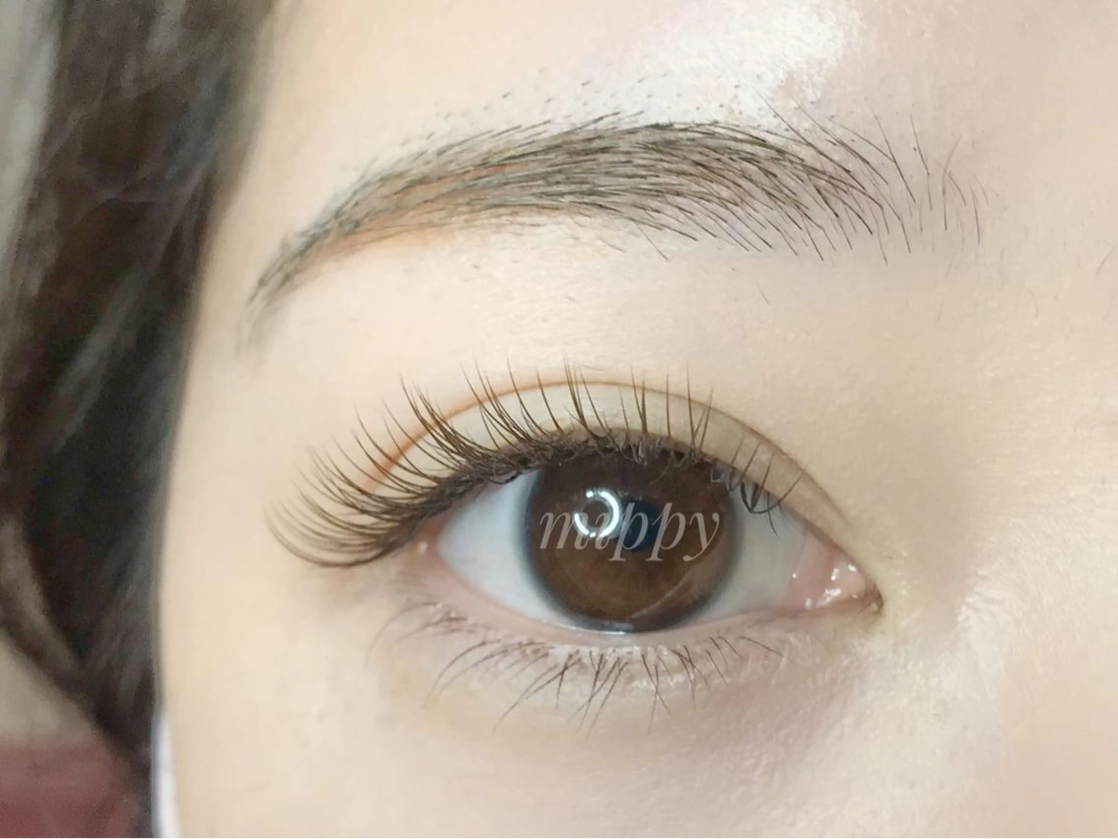 マツエク・マツパ ｍｉｐｐｙ 🪽のマツエク・マツパデザイン