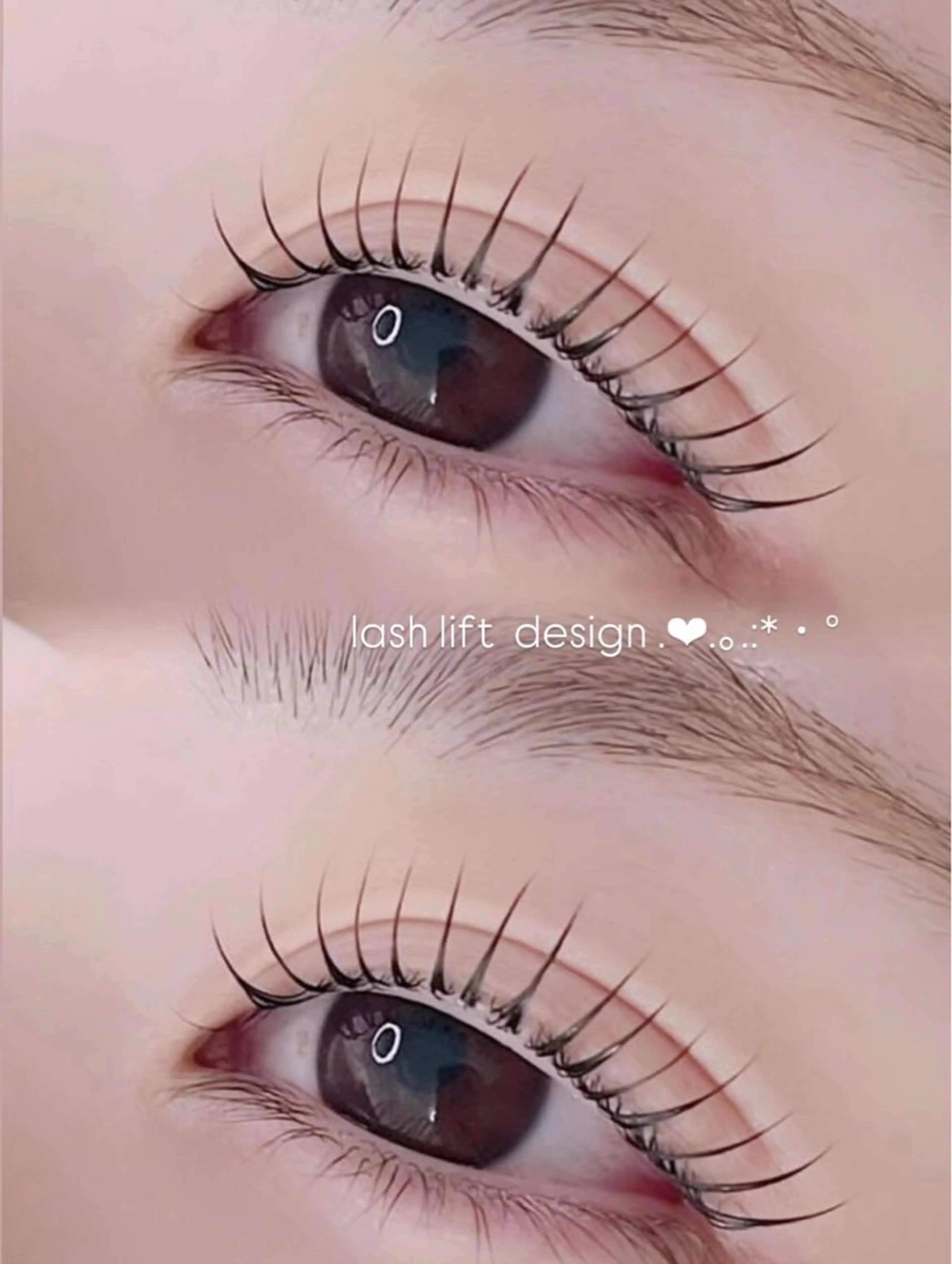 🎀まつ毛パーマ/ラッシュリフト🎀上のみの写真