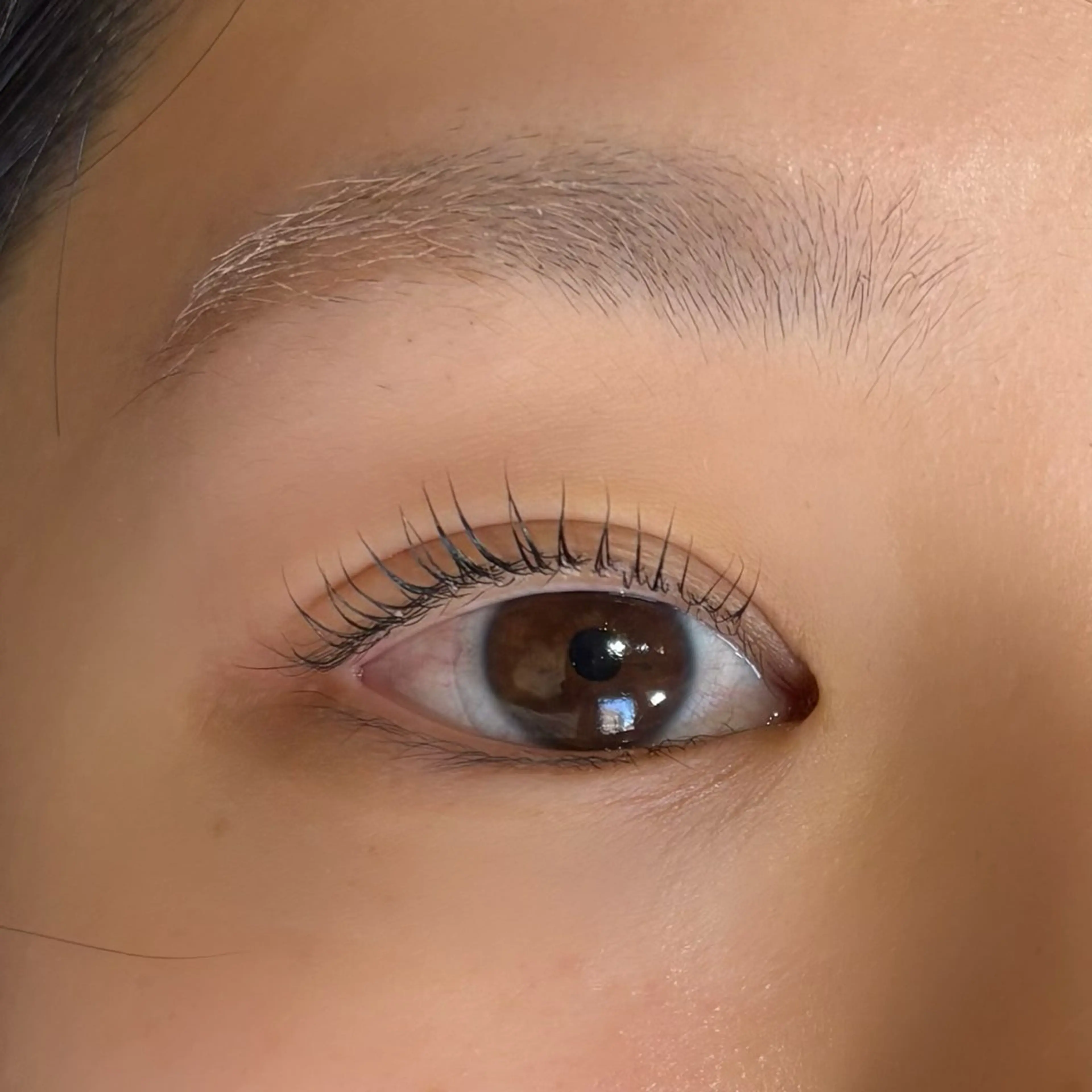 マツエク・マツパ マツパ カラーモデル🎀 アイラッシュ/YUIのマツエク・マツパデザイン