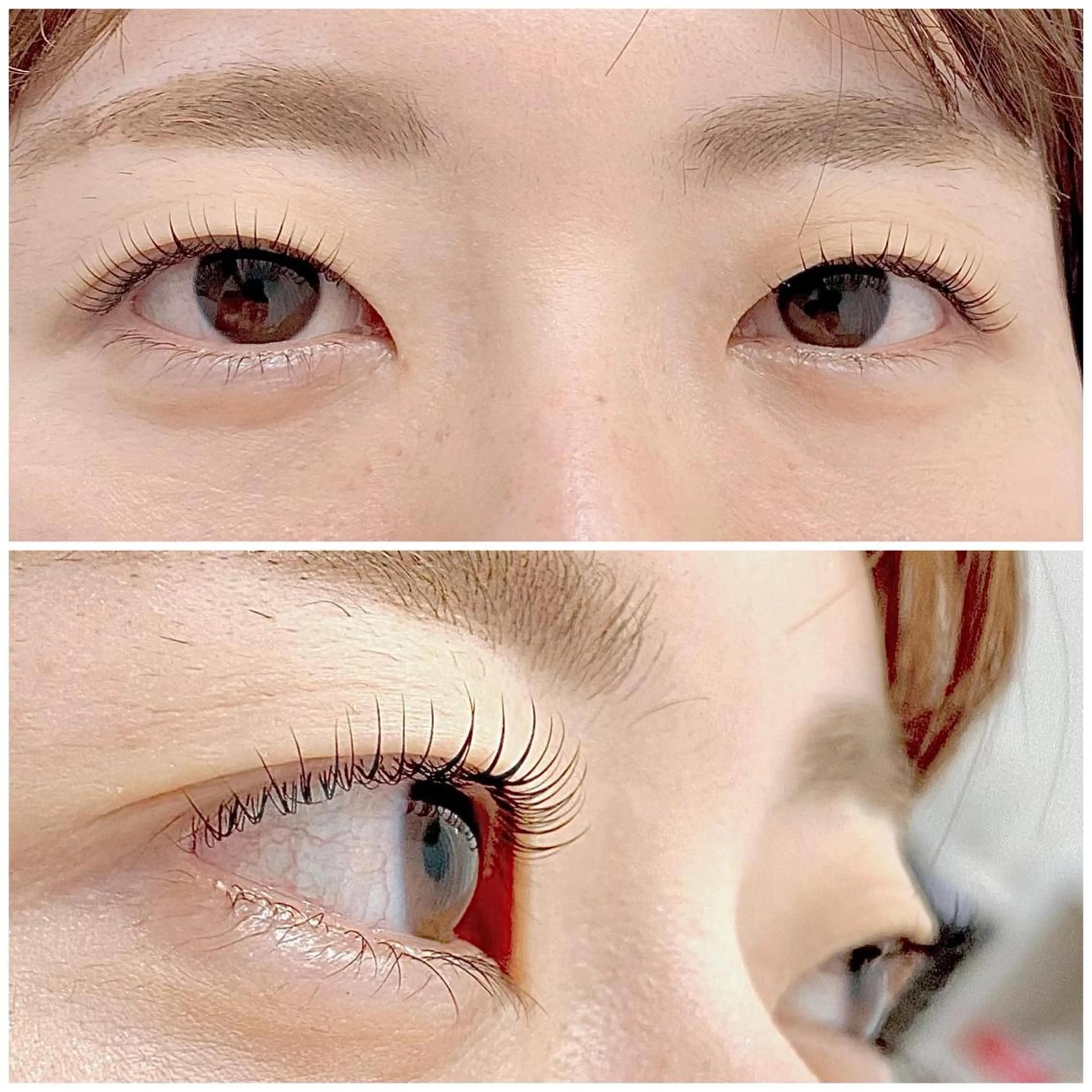 マツエク・マツパ マツパ Rabbit hagaのマツエク・マツパデザイン