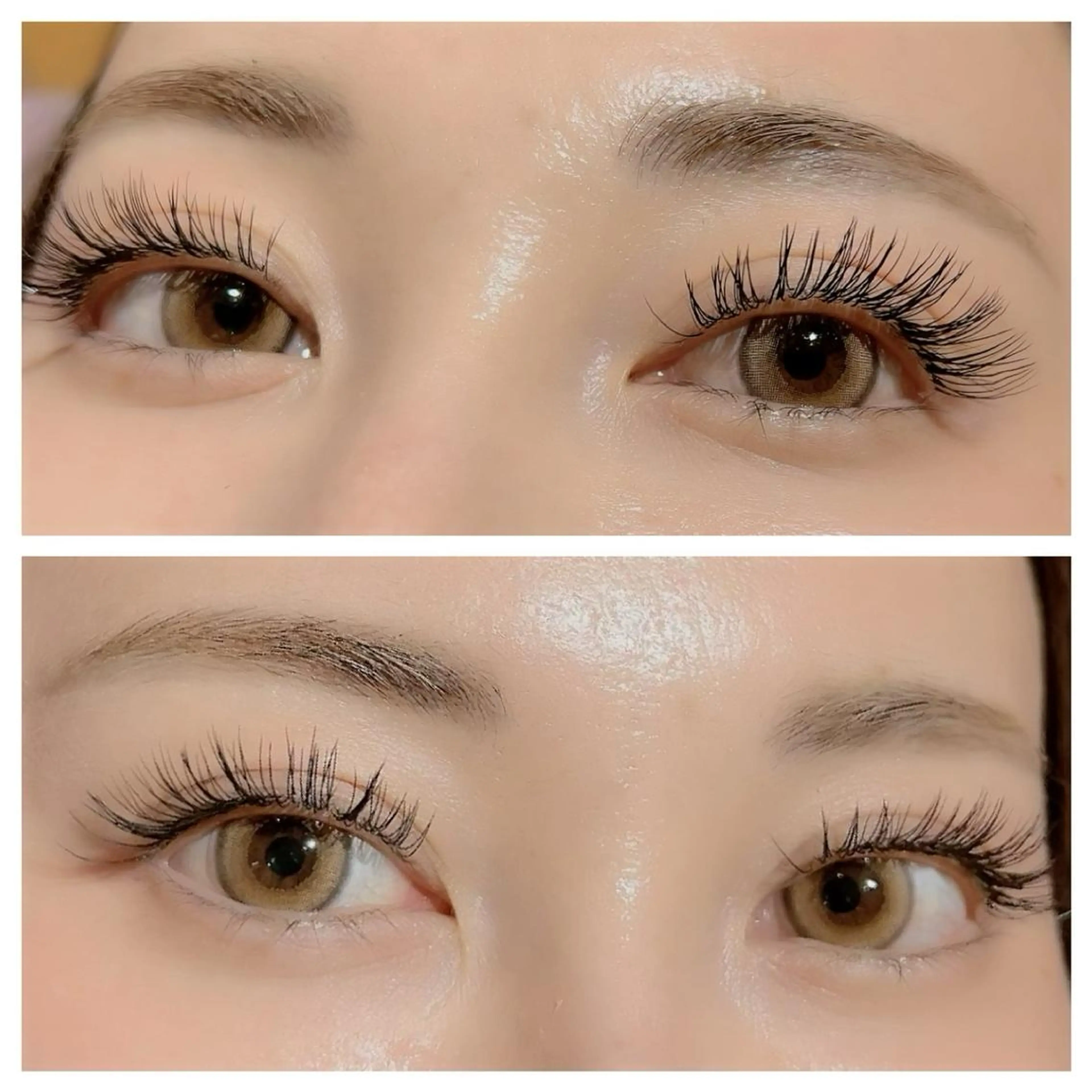 🌻フラットラッシュ120本🌻オフ無料の写真