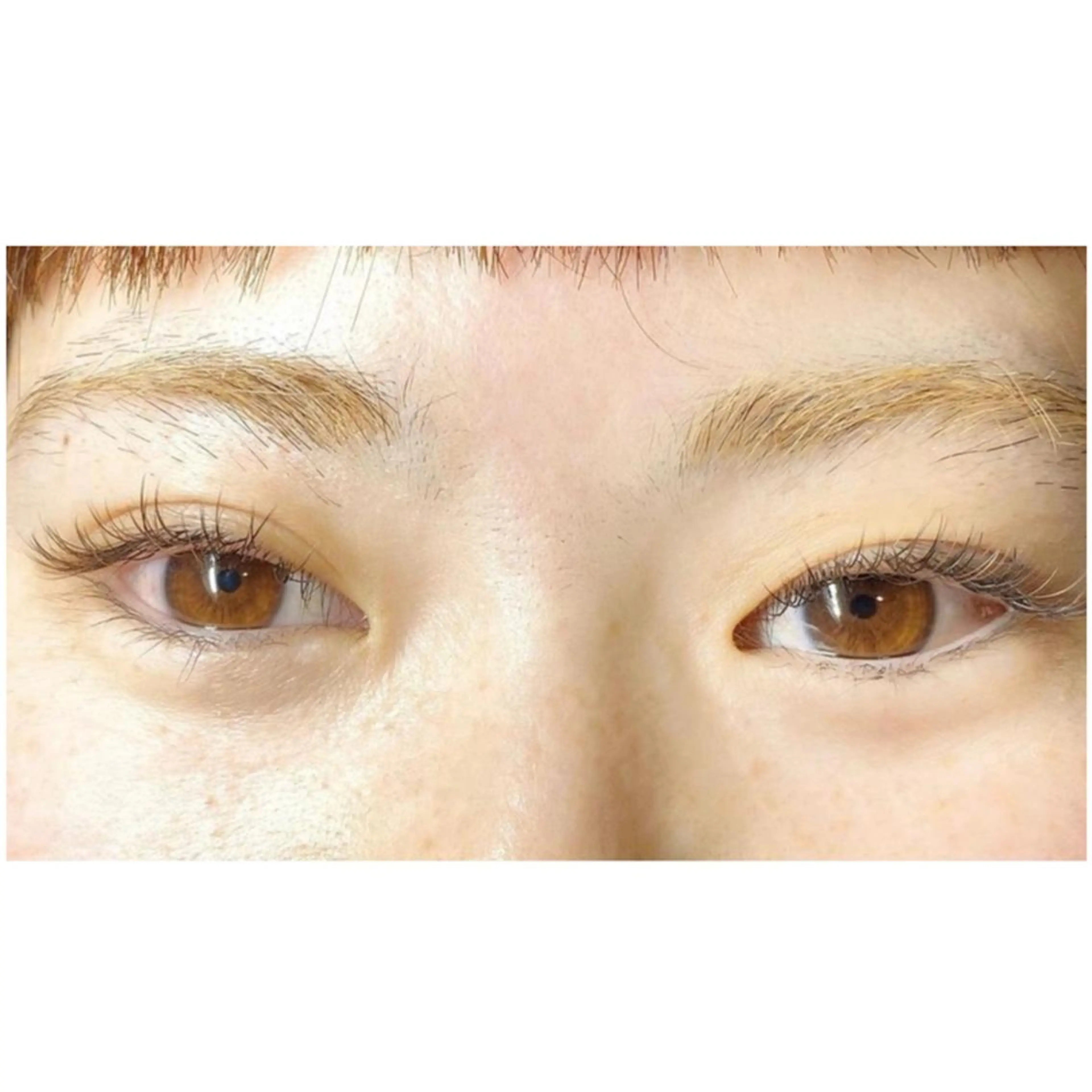 ご新規様限定価格！　フラットマットラッシュ120本の写真