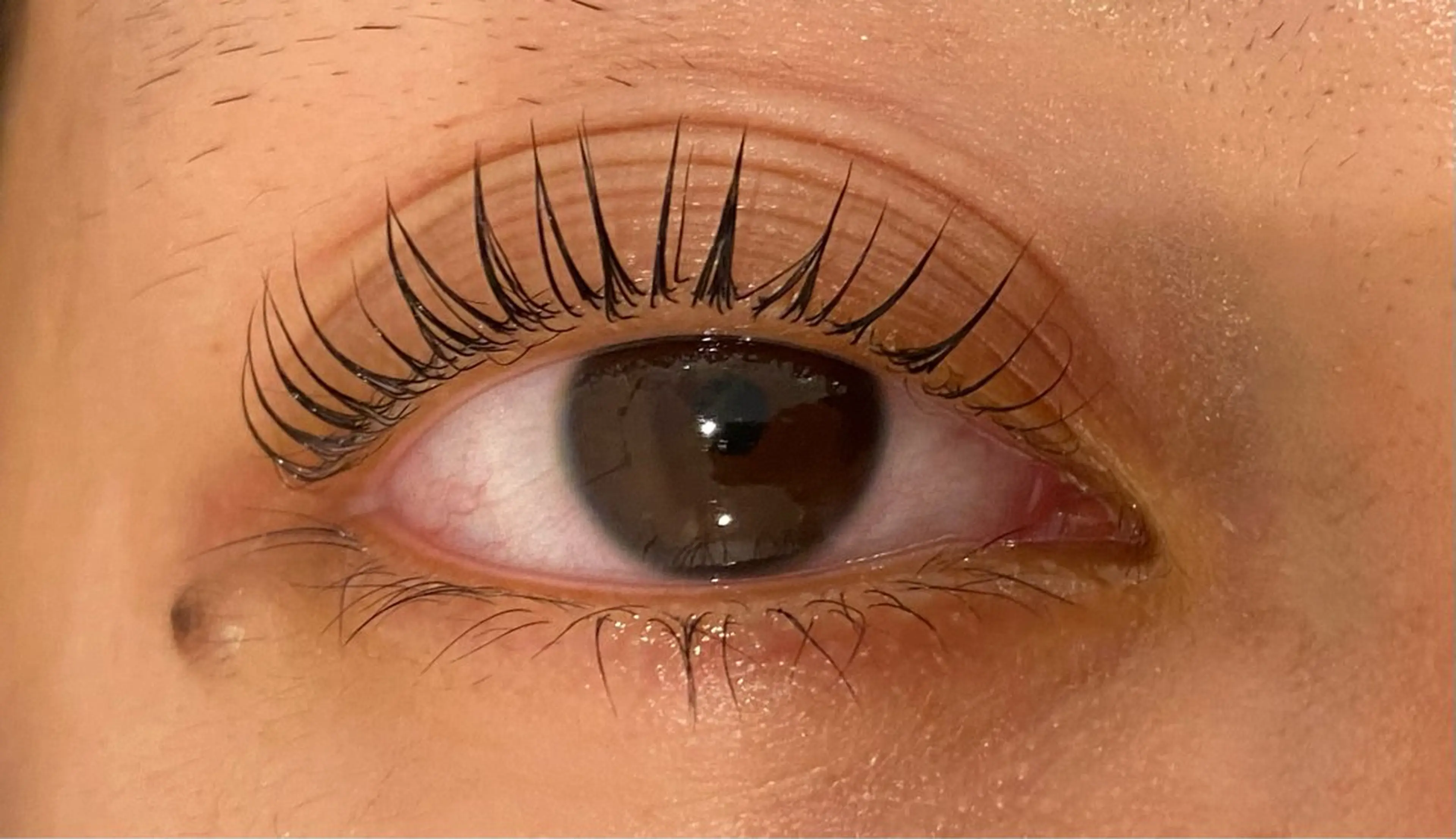 マツエク・マツパ Daisy lash 京橋店堀井のマツエク・マツパデザイン