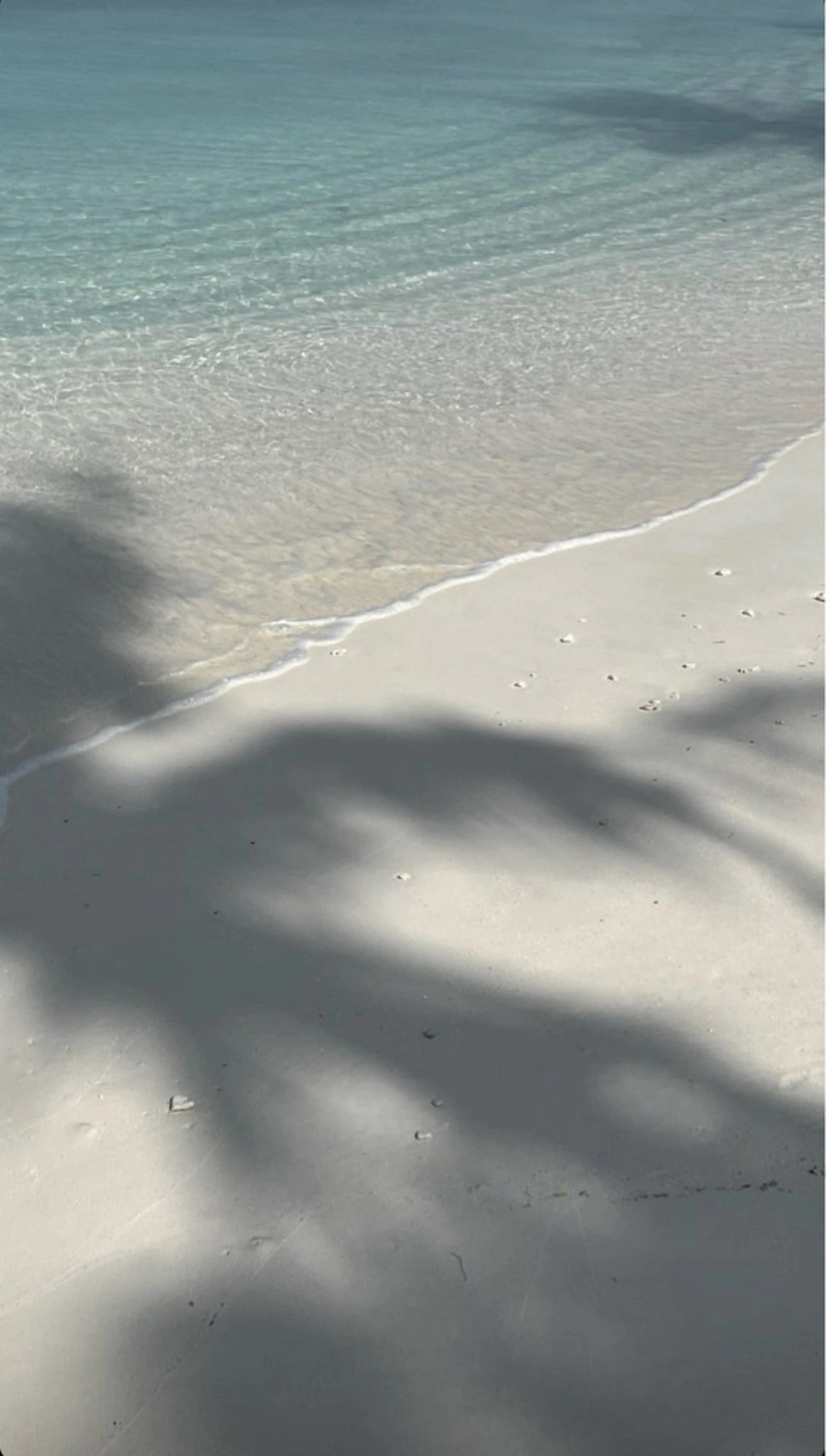 BIANCA ✴︎ YURIAの眉毛・アイブロウイメージ