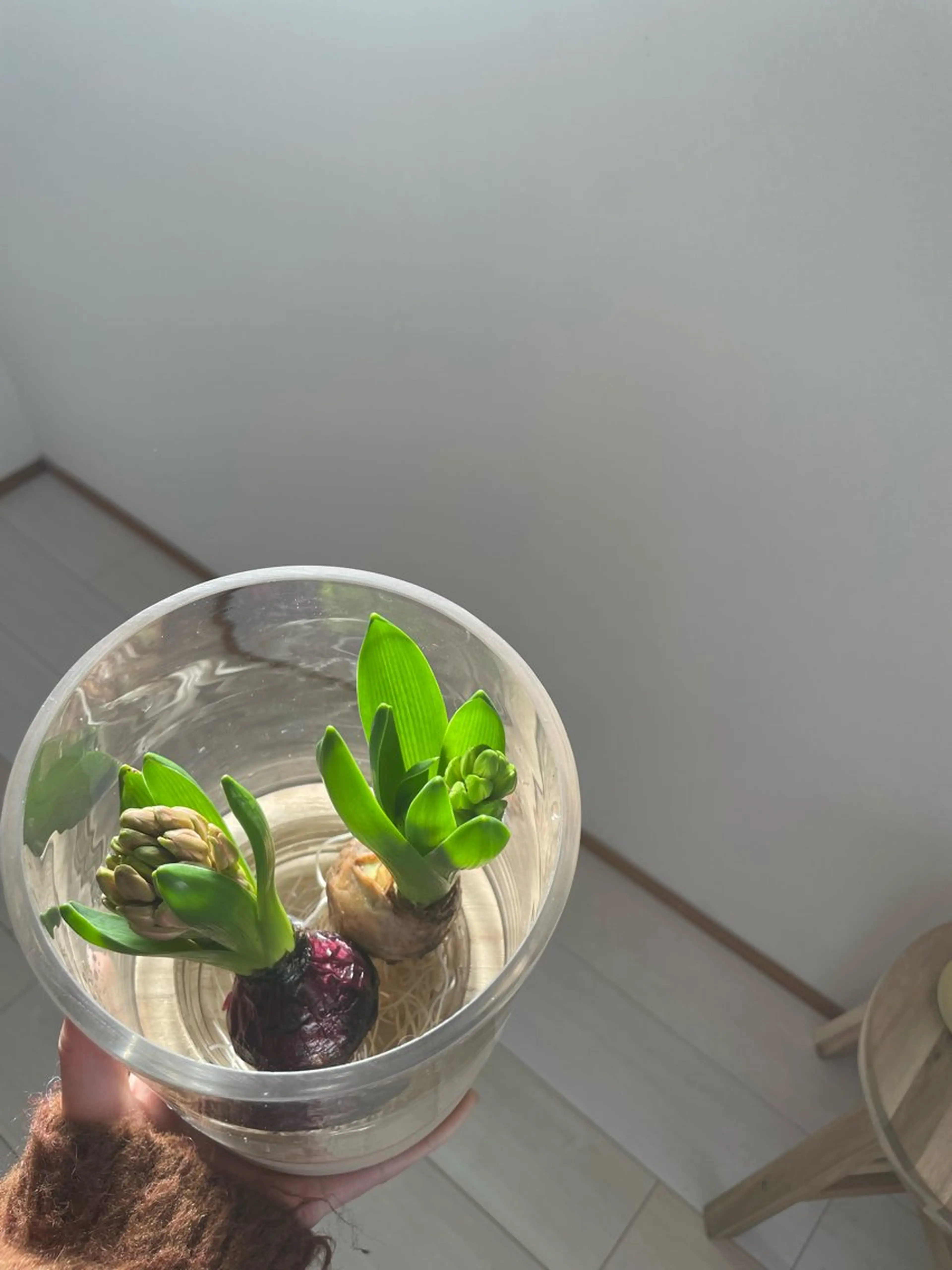 マツエク・マツパ マツエク eyan _kco 西宮/甲子園口のマツエク・マツパデザイン