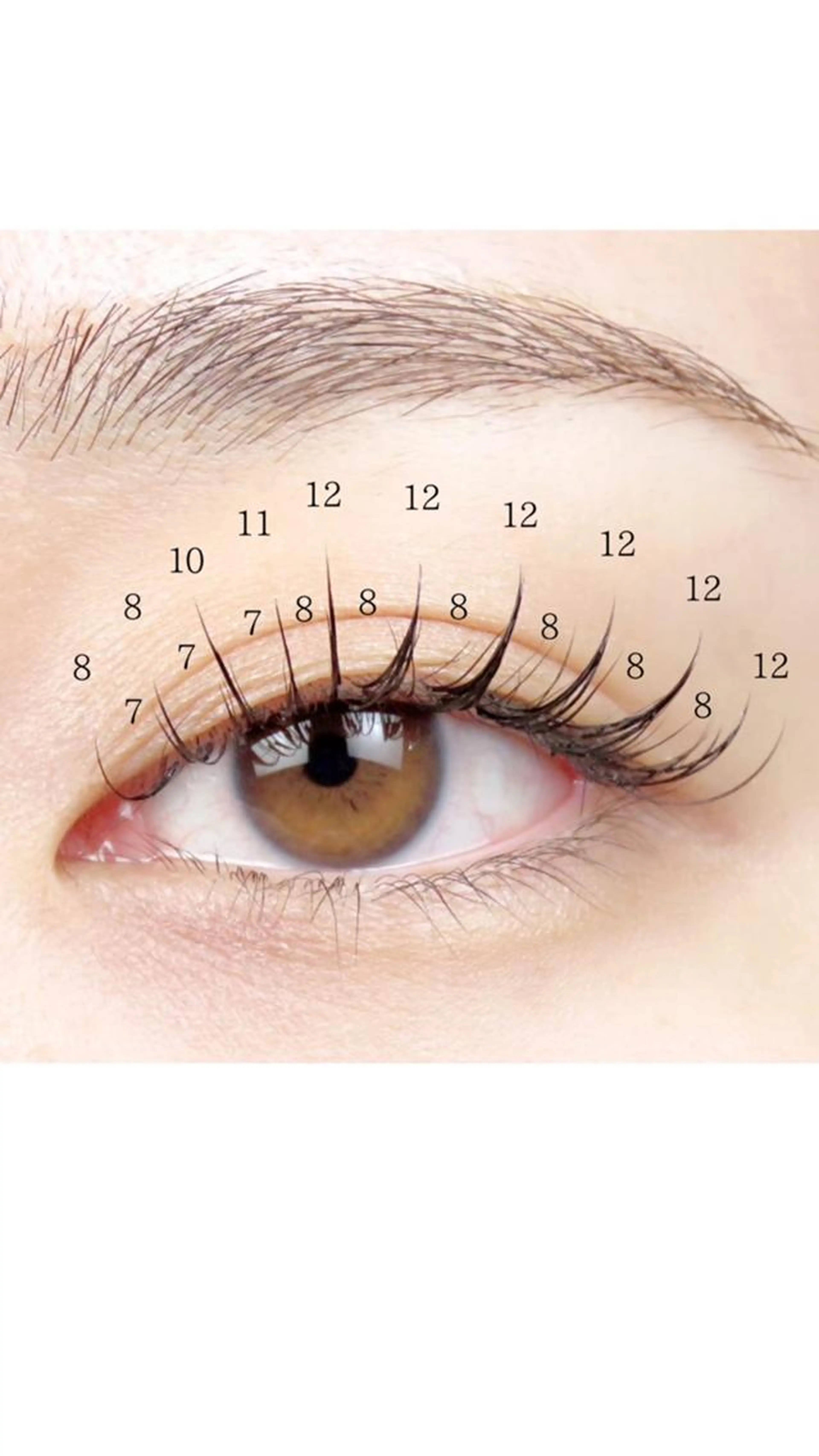 《全日》【初回】ワンホンマツエク100+コーティング+アップワード11170→8800の写真