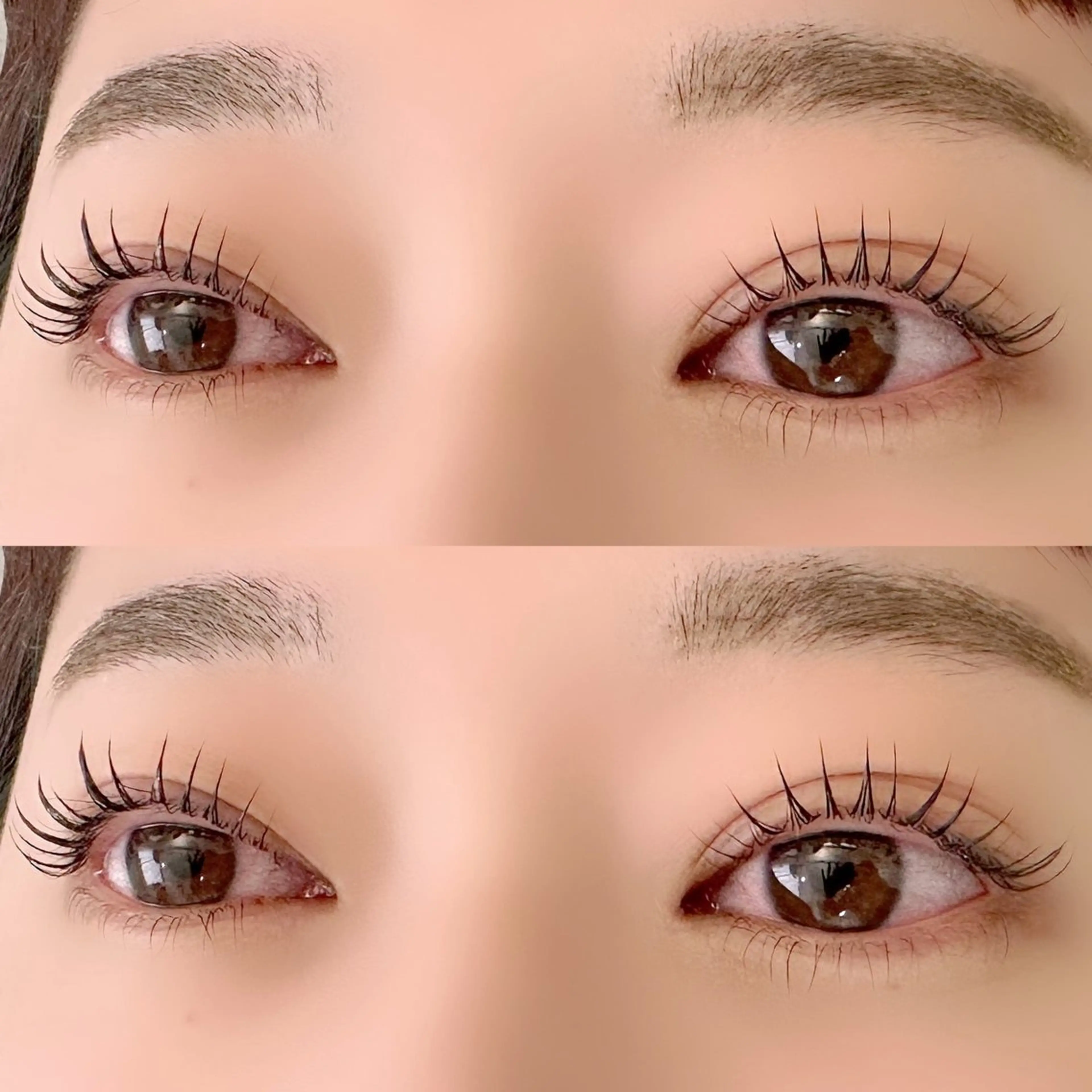 ご新規様限定//❤️上下ラッシュリフト(まつげパーマ)の写真