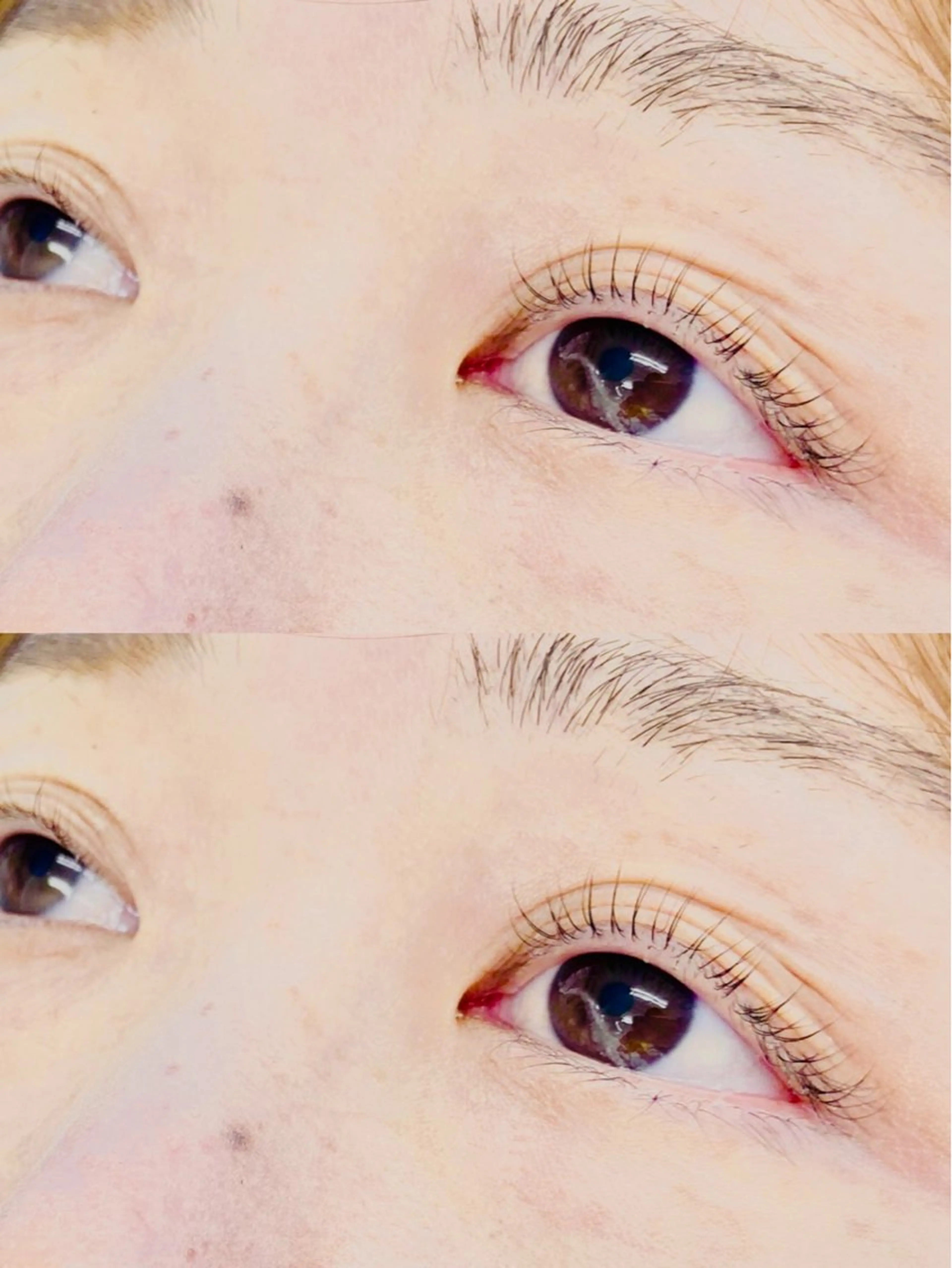 【初回限定クーポン】パリジェンヌラッシュリフトの写真