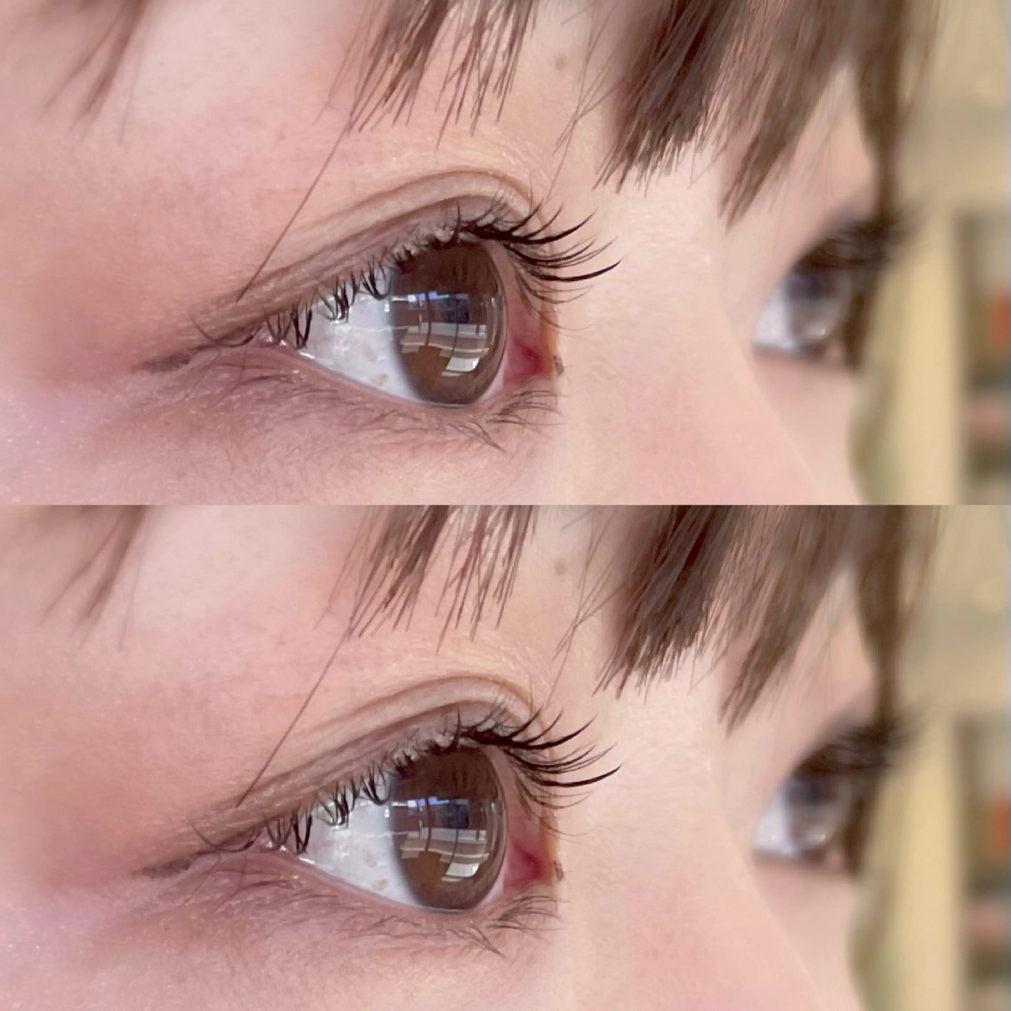 🩵シマーラッシュ　ダブルフラット20束(オフ無料)の写真