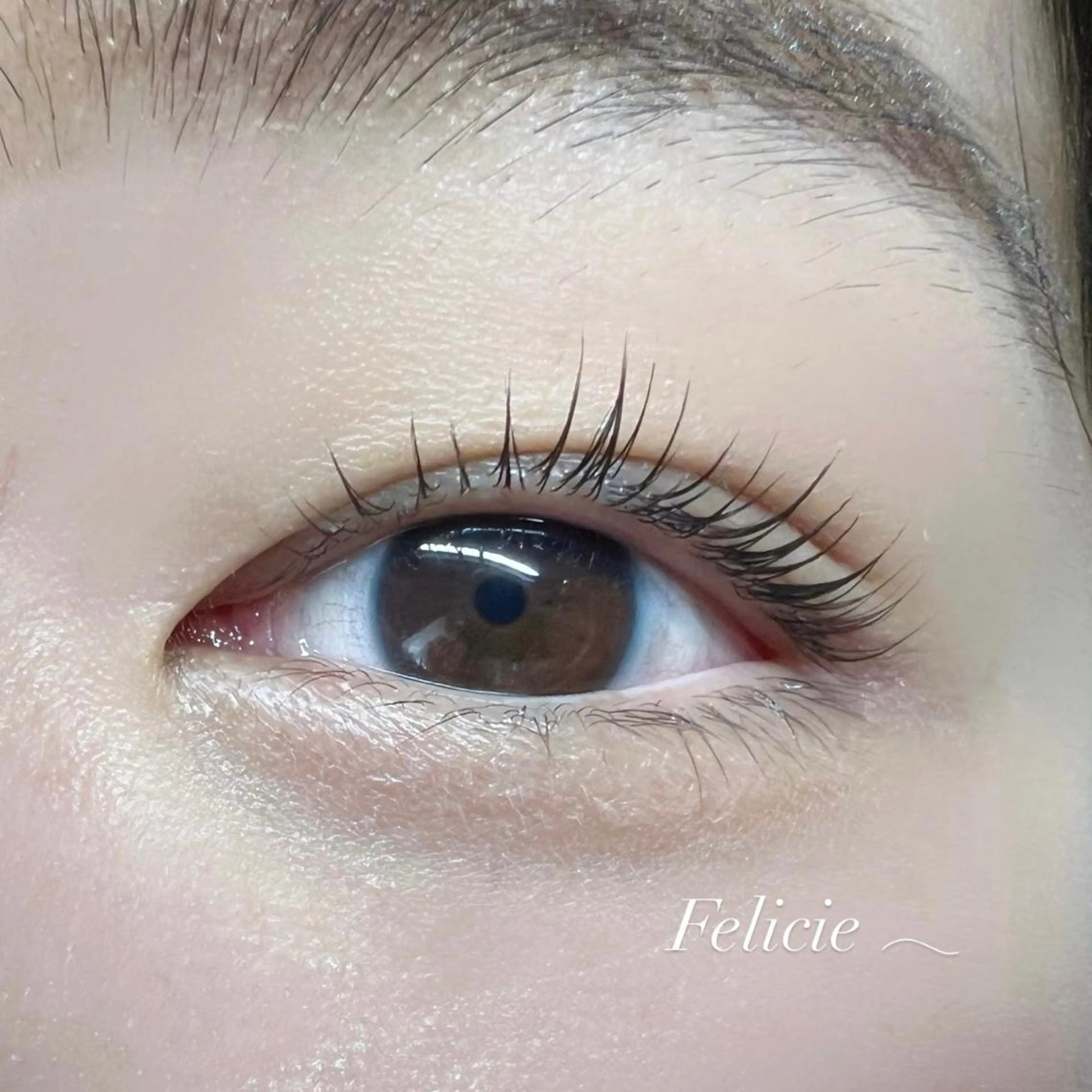 マツエク・マツパ パリジェンヌラッシュリフト マツパ Felicie＊ Sayakaのマツエク・マツパデザイン