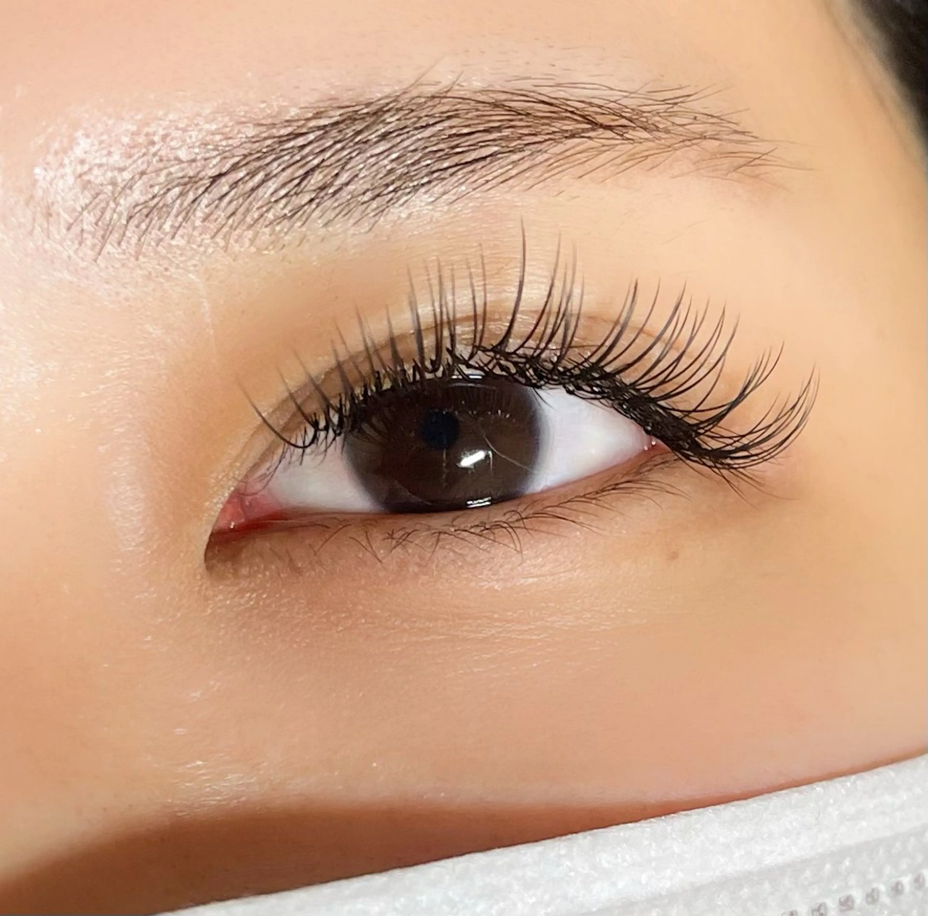 マツエク・マツパ CCカール Cカール フラットラッシュ lagoon eyelash津久野のマツエク・マツパデザイン