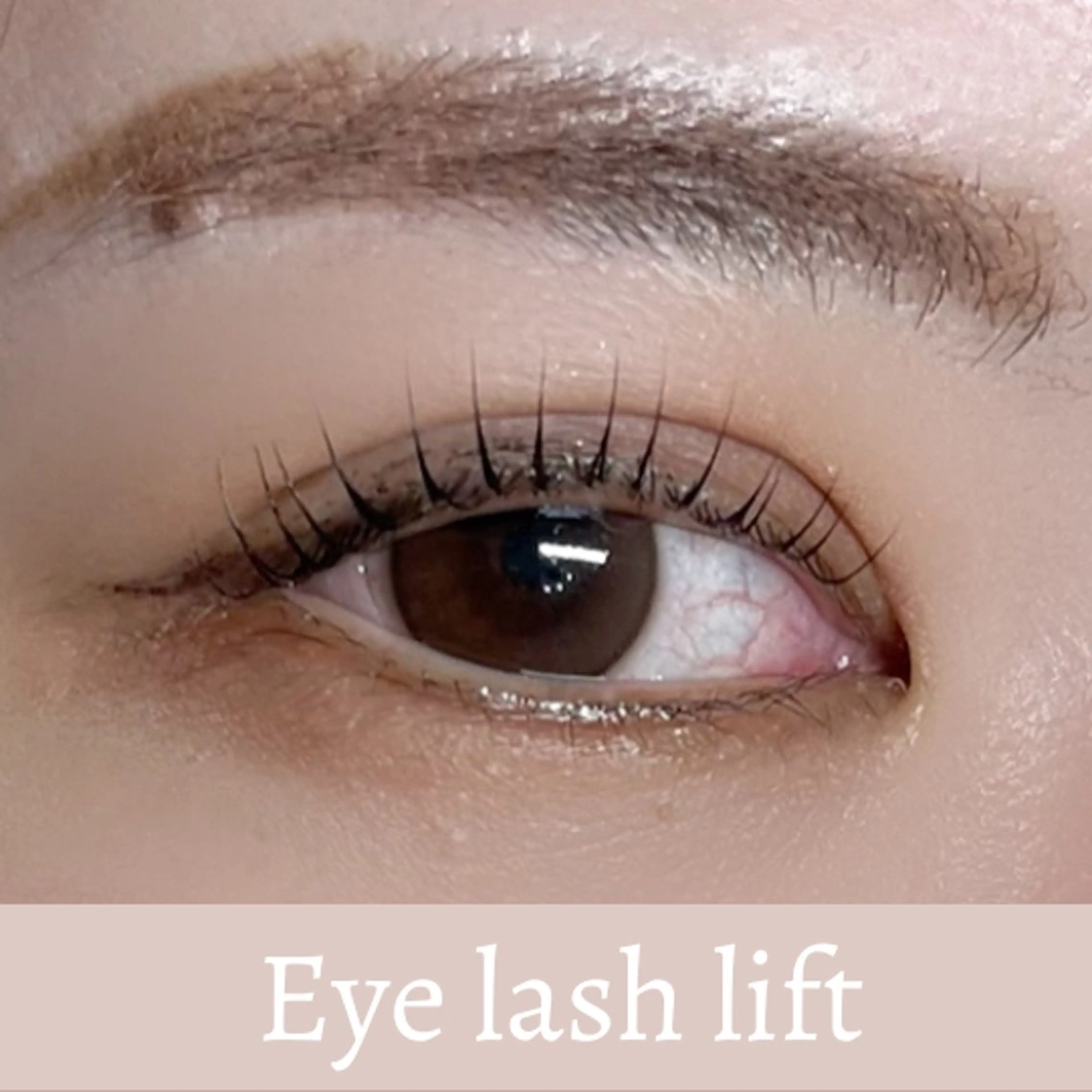 マツエク・マツパ MONDO AYUの眉毛・アイブロウイメージ