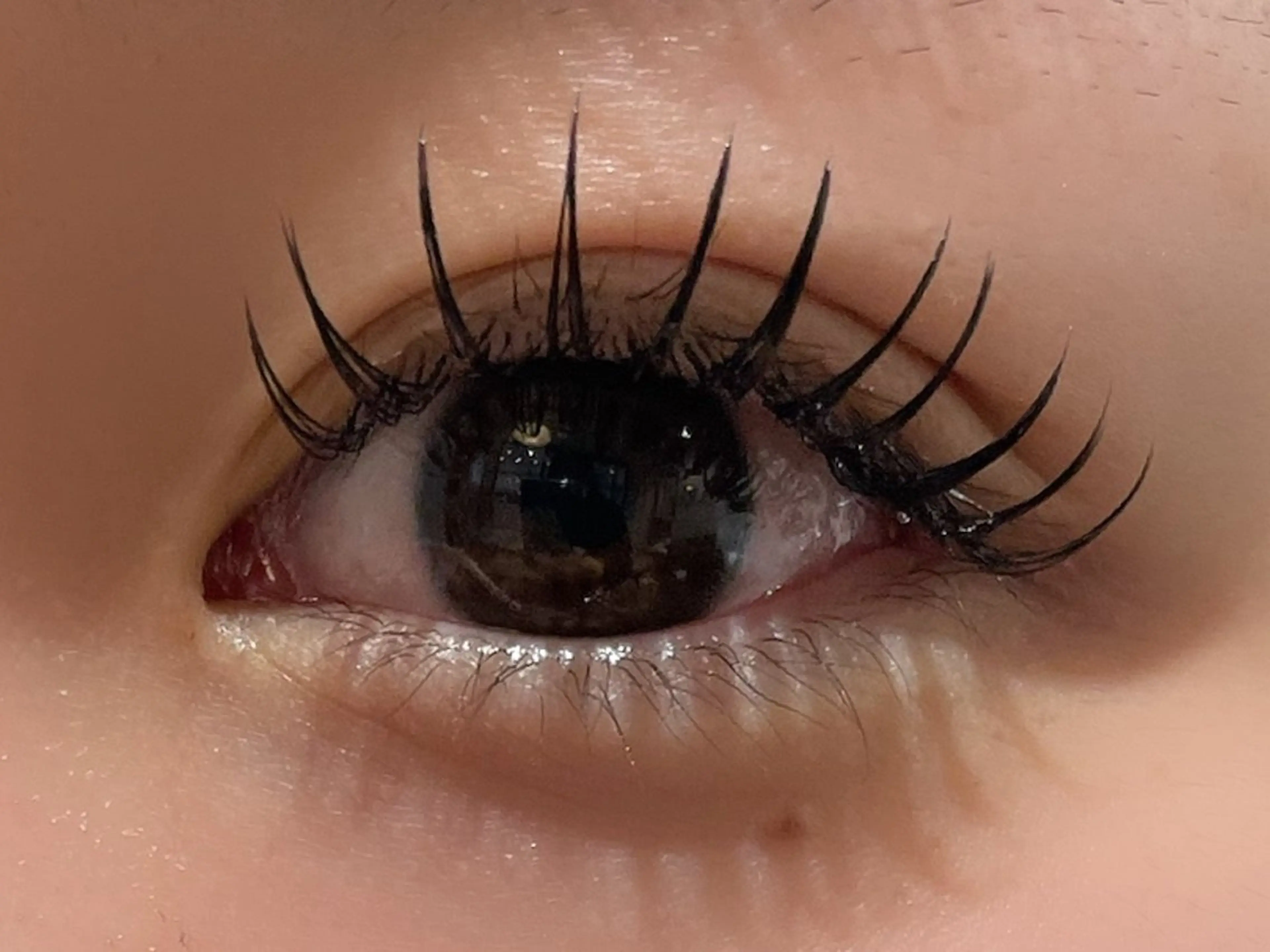 マツエク・マツパ フラットラッシュ Oli-Oli arisaのマツエク・マツパデザイン