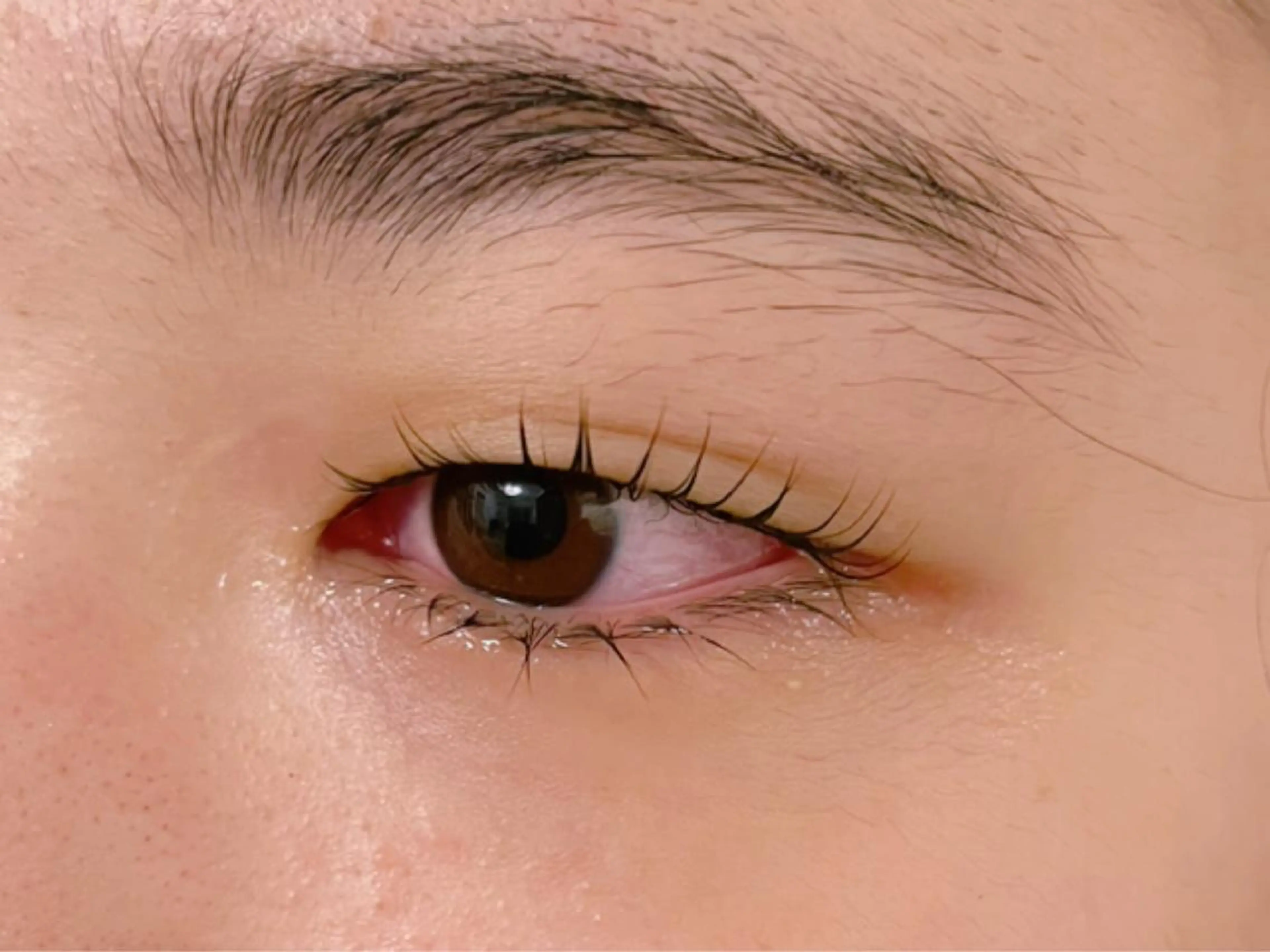 マツエク・マツパ 一重×まつ毛パーマ 𝐞𝐢𝐠𝐡𝐭 MAO🖤の眉毛・アイブロウイメージ