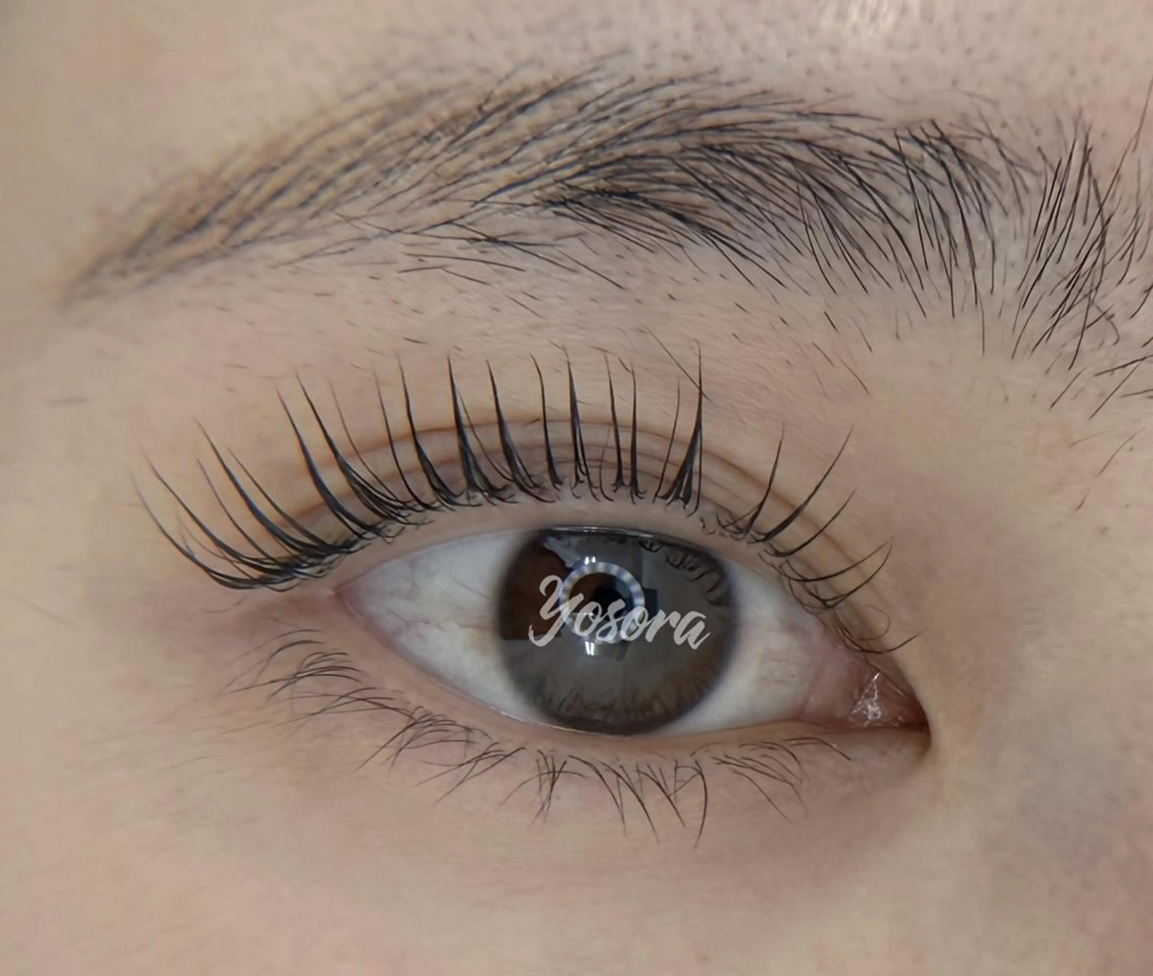 マツエク・マツパ パリジェンヌラッシュリフト マツパ 浅草橋 Yosoraのマツエク・マツパデザイン