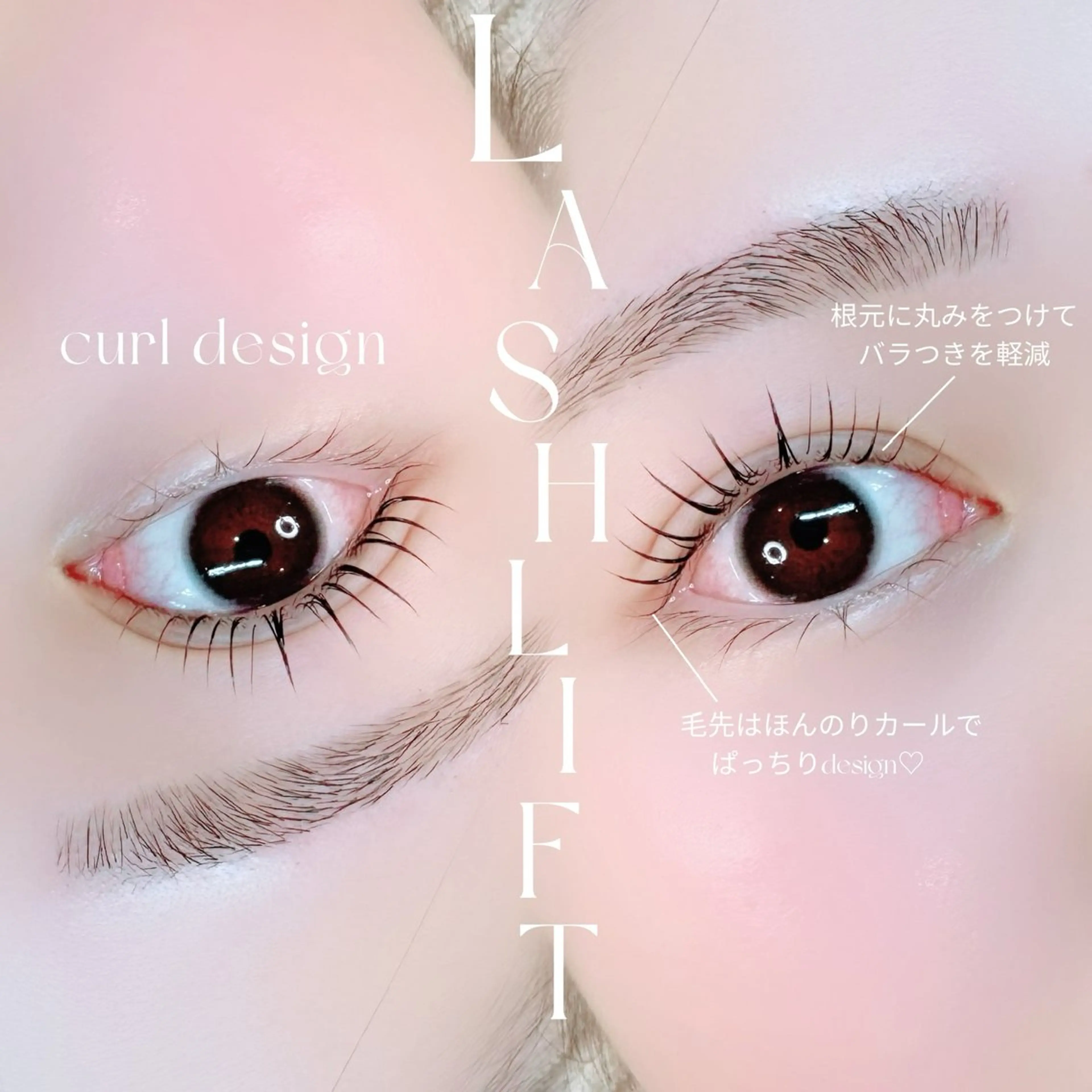 マツエク・マツパ mignon /まつげパーマ/眉毛のエステ・リラクイメージ