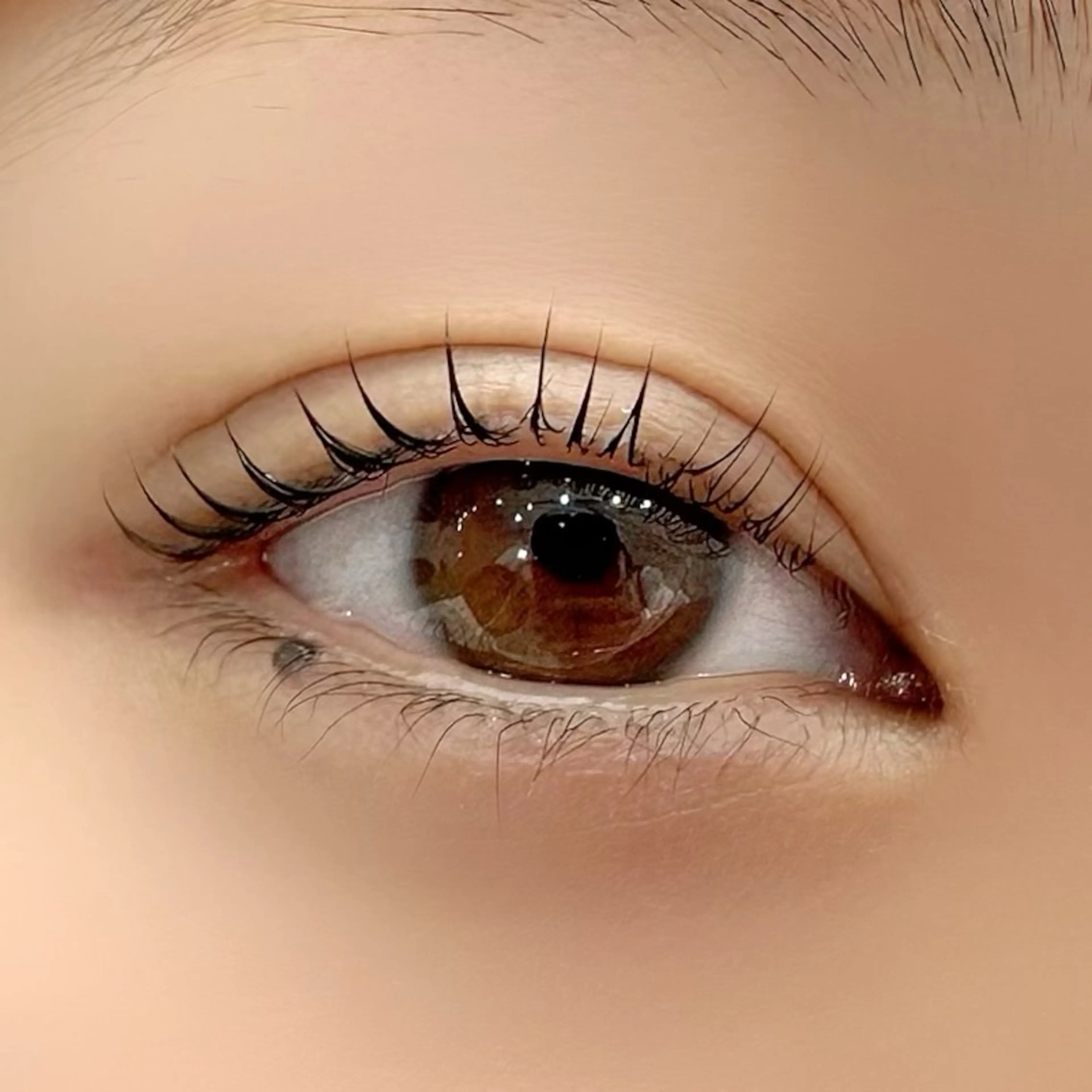 🌼ラッシュリフト(マスカラパーマ)🌼お客様のなりたいお目元にまつげを立ち上げます👀🧸𖤐⡱✨の写真