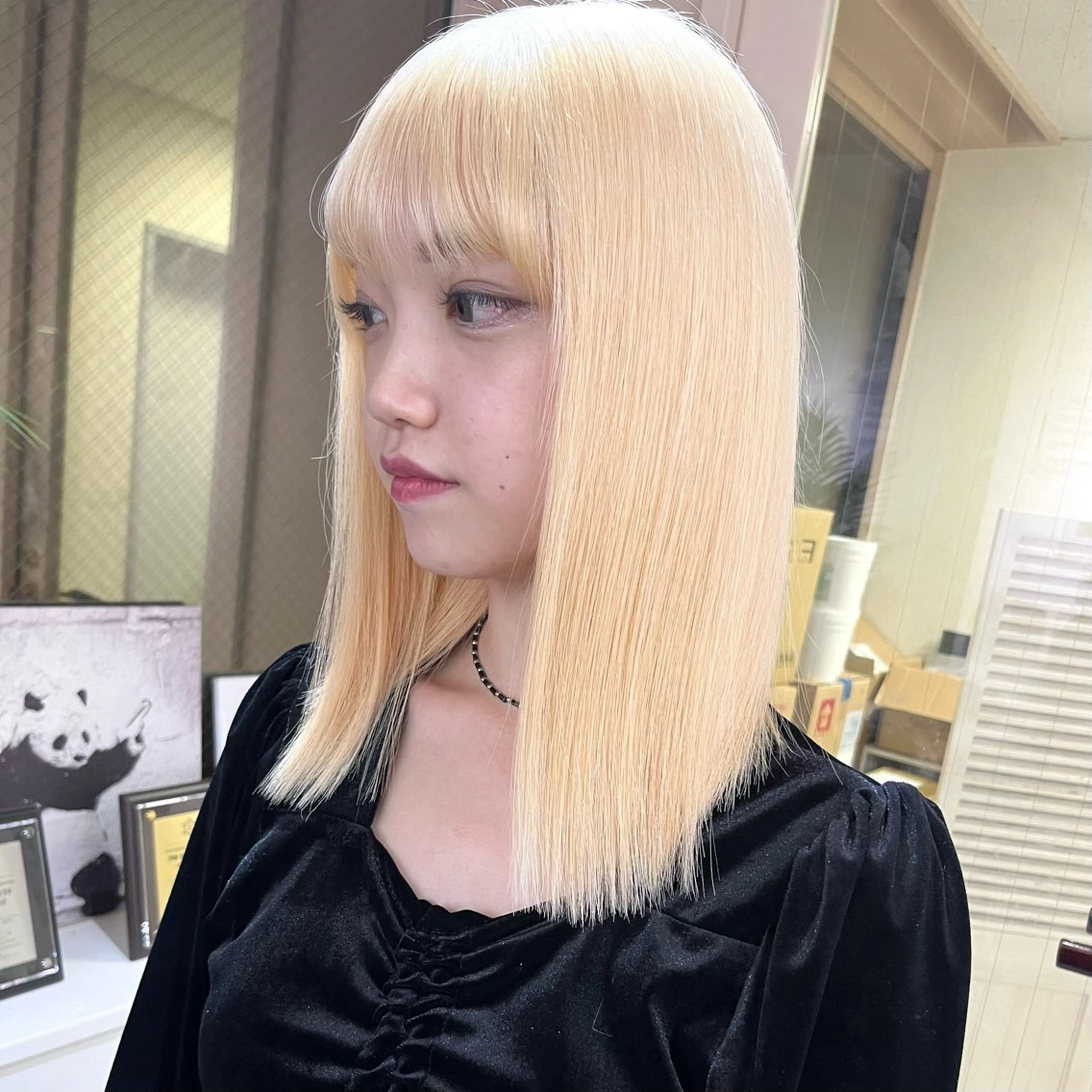 【人気No.1】ハイブリーチ🎨艶カラー+トリートメント/リタッチも可◎/渋谷/原宿/表参道/色ムラ修正も対応◎の写真