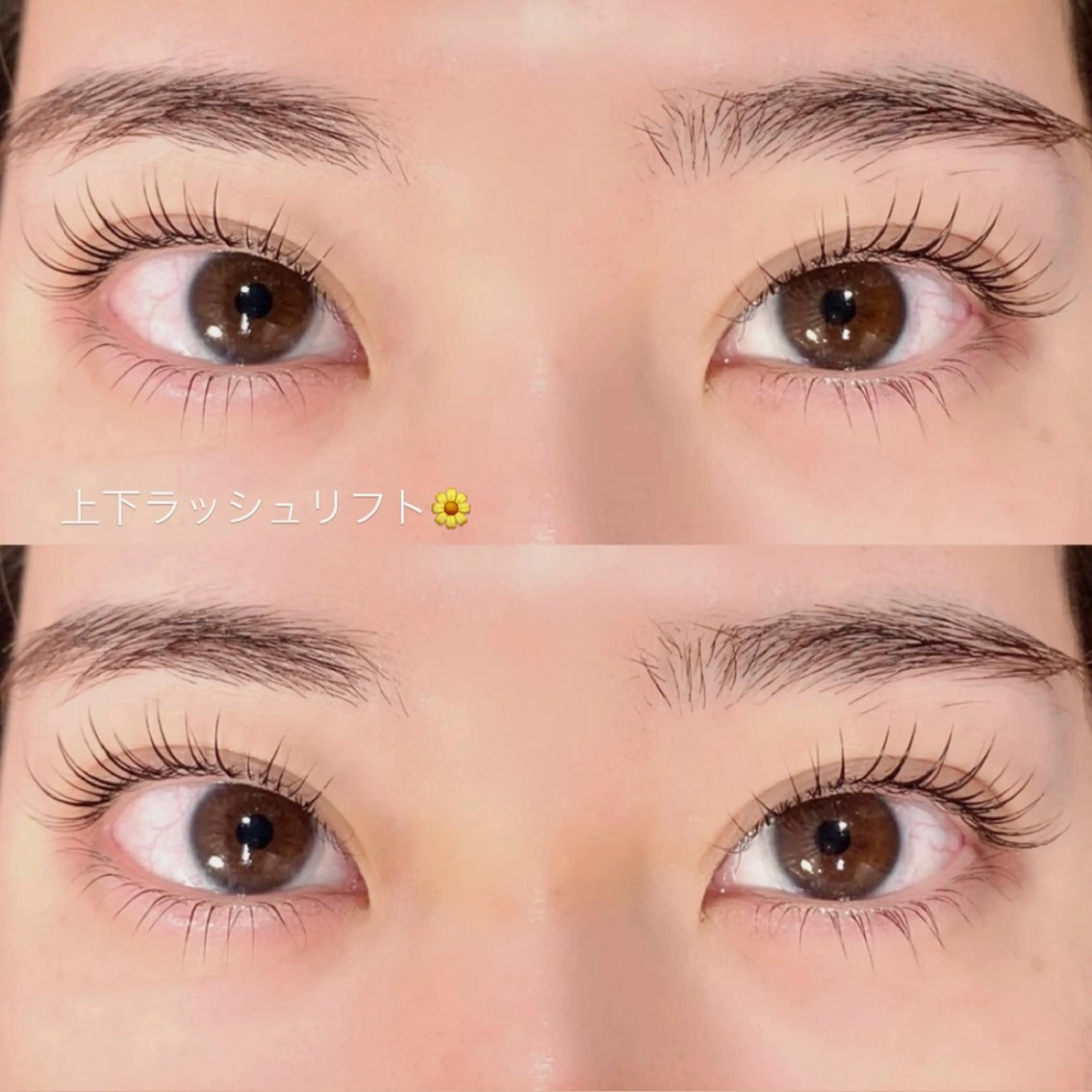 当日限定🎀似合わせまつげパーマ上下★パリジェンヌ／マツパの写真