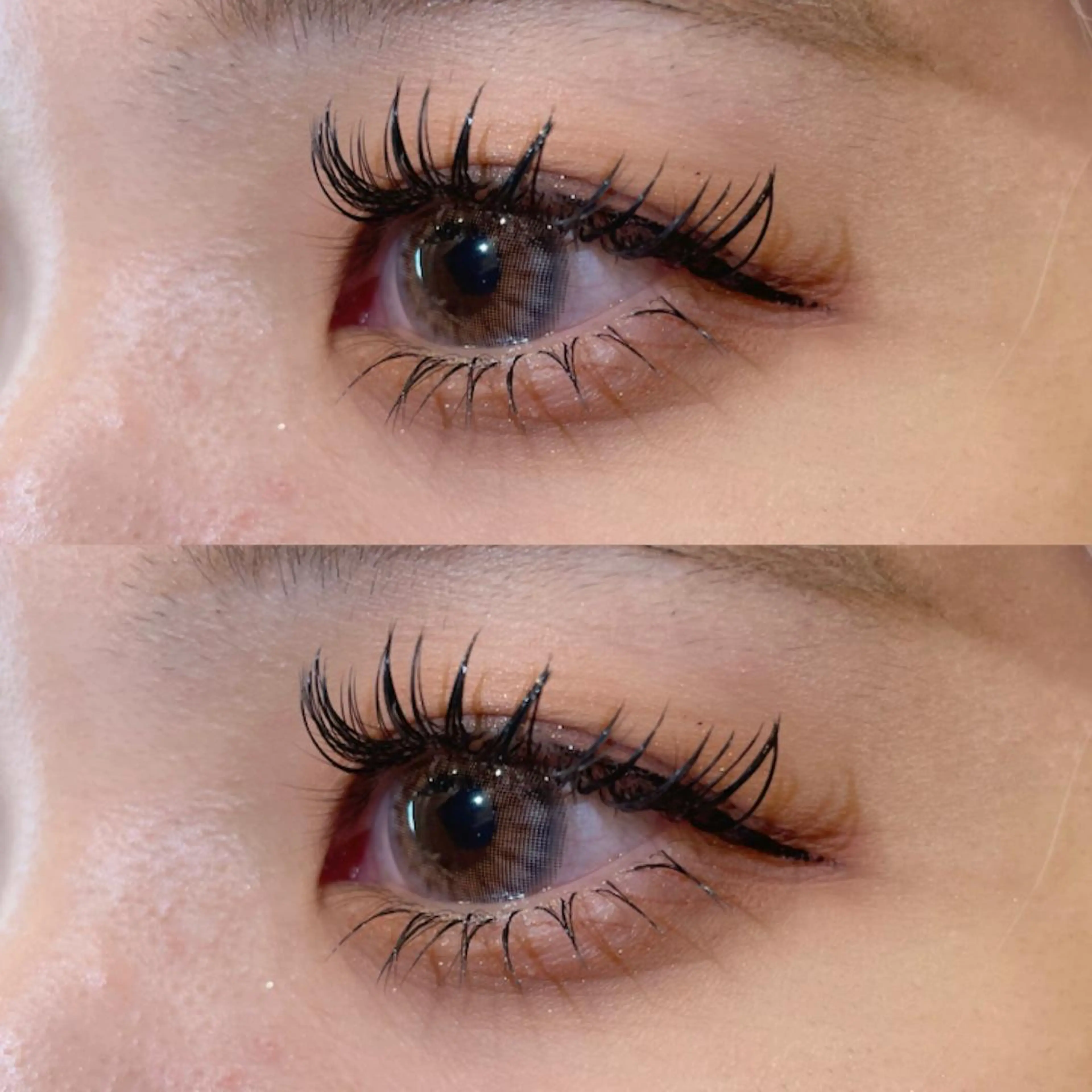 🤍下まつげバインドロック20束🤍（再来＋550円）の写真