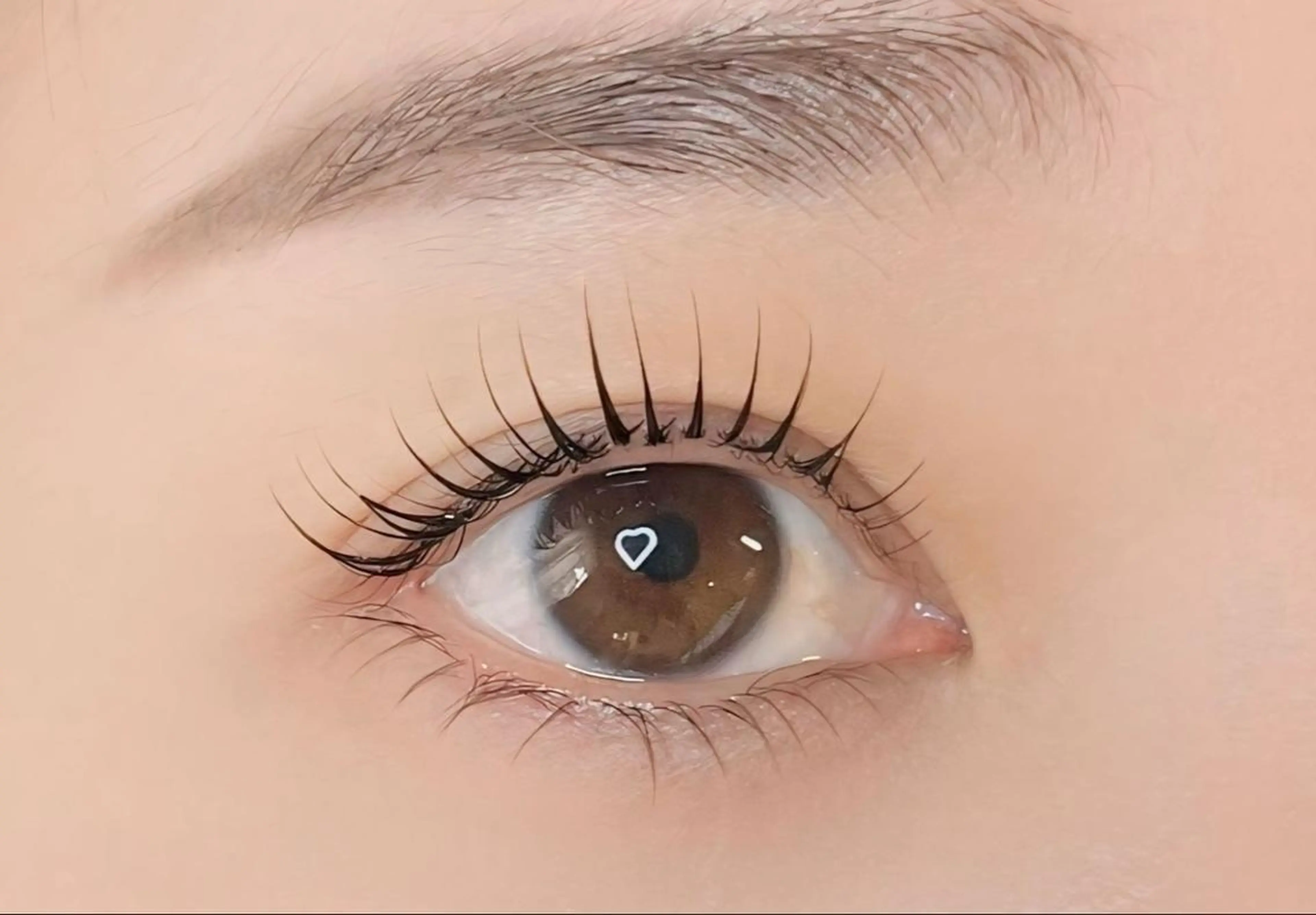 🌟当日限定🌟本日🈳あり 似合わせまつげパーマ（+1000でパリジェンヌ韓国式変更🌟）の写真