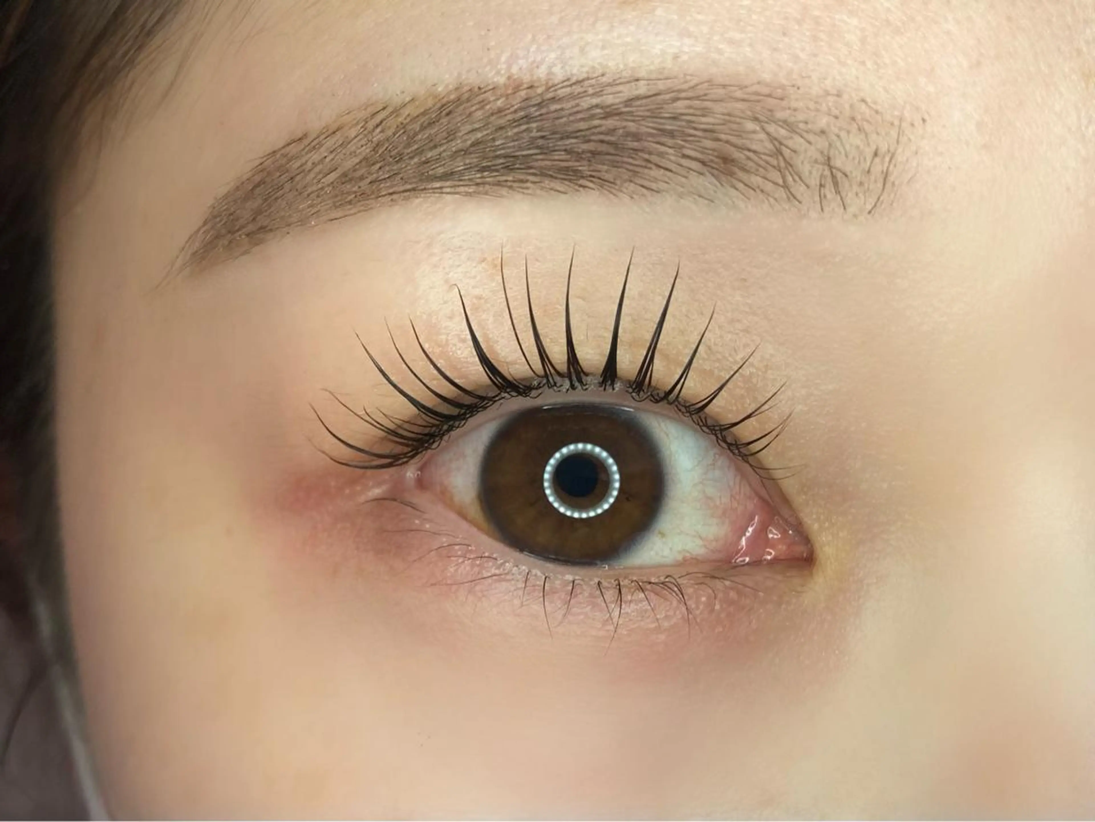 🏫【ご新規様】学割🏫まつげパーマ＋アイブロウワックス🏫の写真