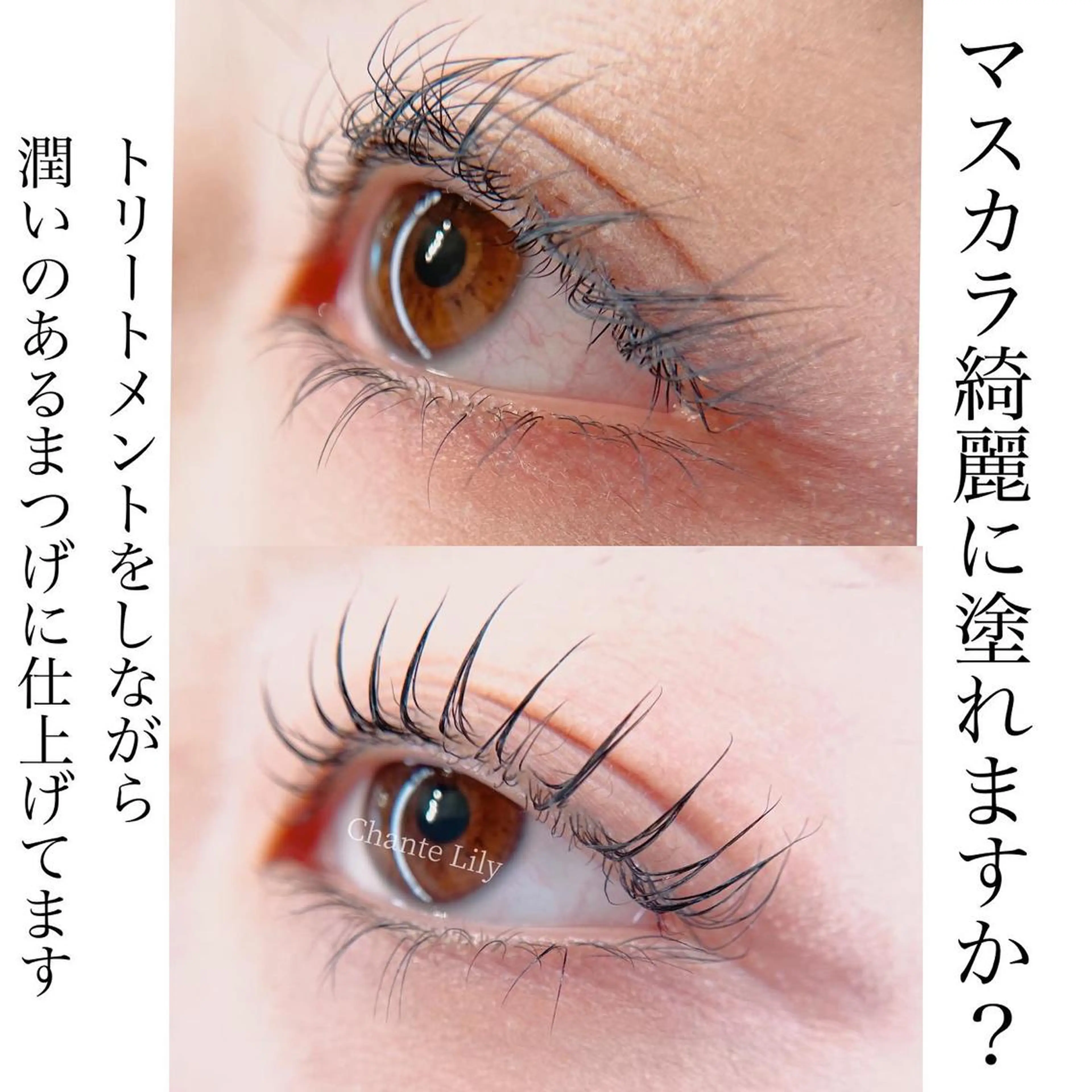 マツエク・マツパ 一重×まつ毛パーマ マツパ Chante Lily所属・森崎 麗のマツエク・マツパデザイン