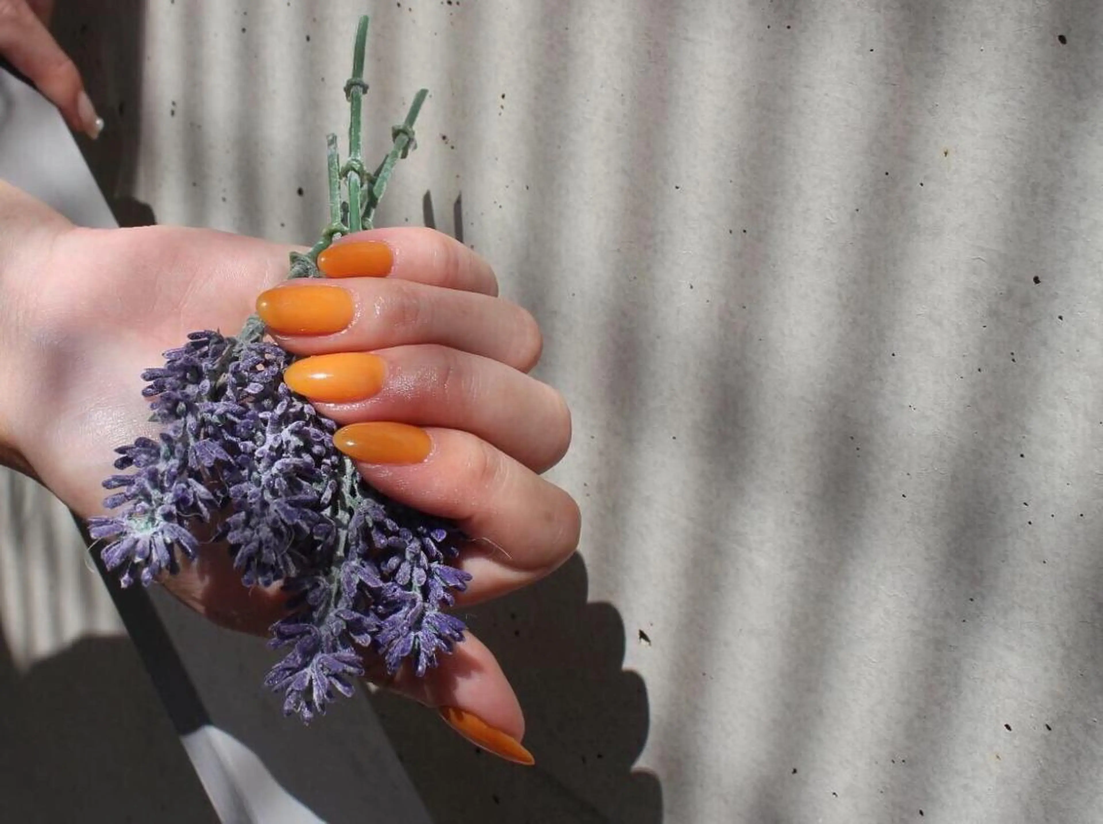 ネイル The  Next...所属・TheNext kitahorieのネイルデザイン