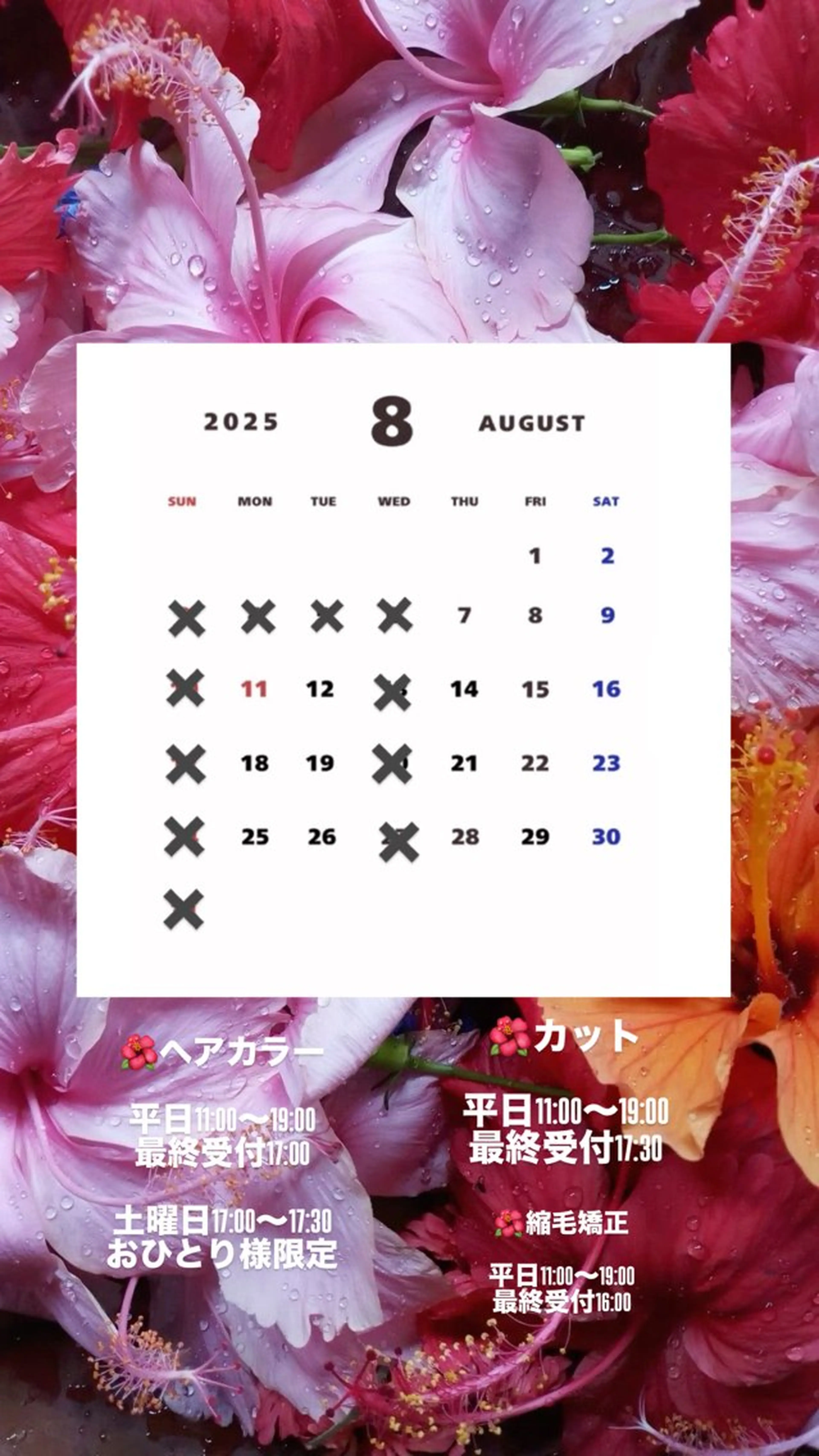 カット ヘアカラー トリートメント Agu hair noman マナのヘアスタイル