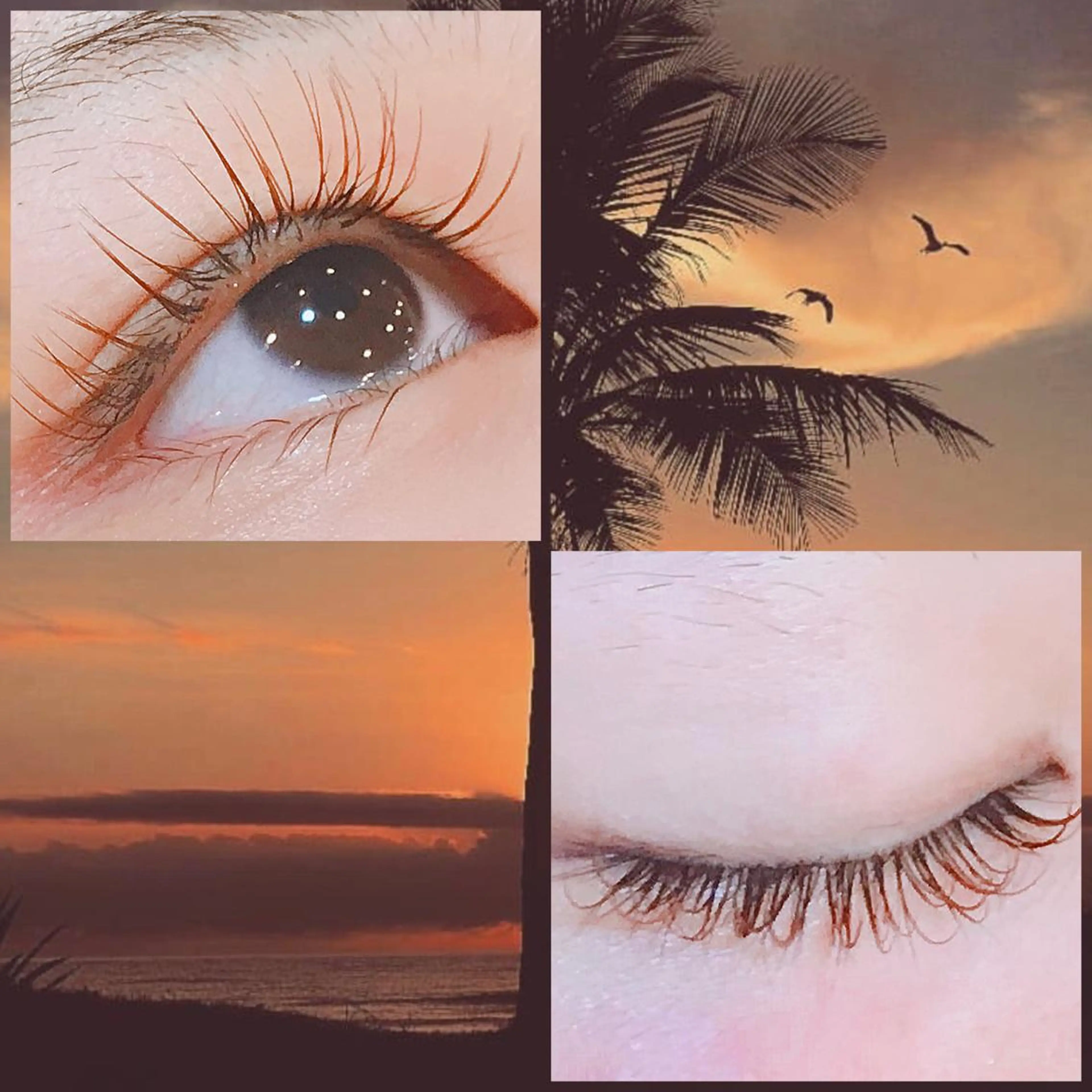 マツエク・マツパ 付け放題 カラーマツエク 武田 楓のマツエク・マツパデザイン