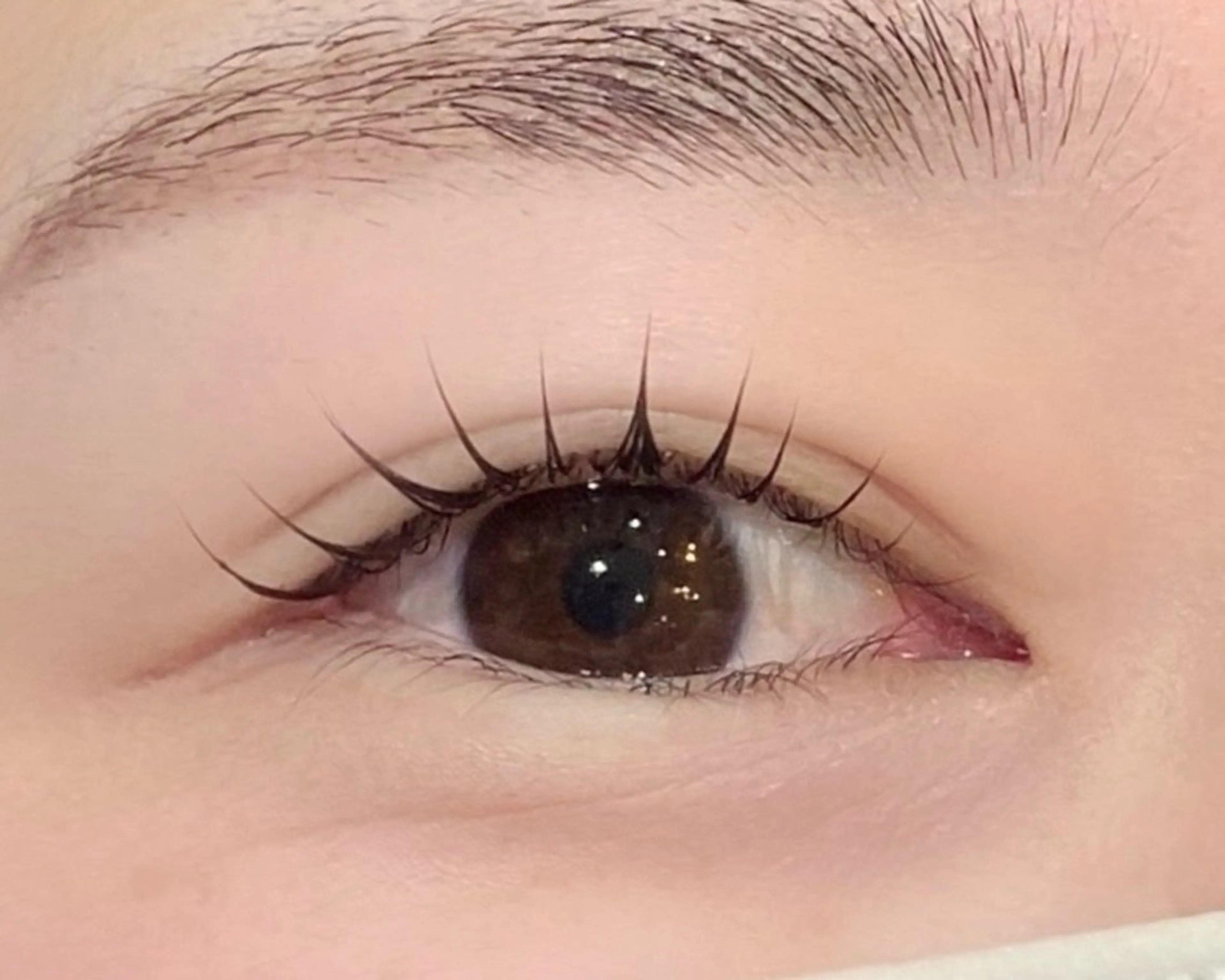 低刺激まつ毛パーマ‎👀🤍の写真